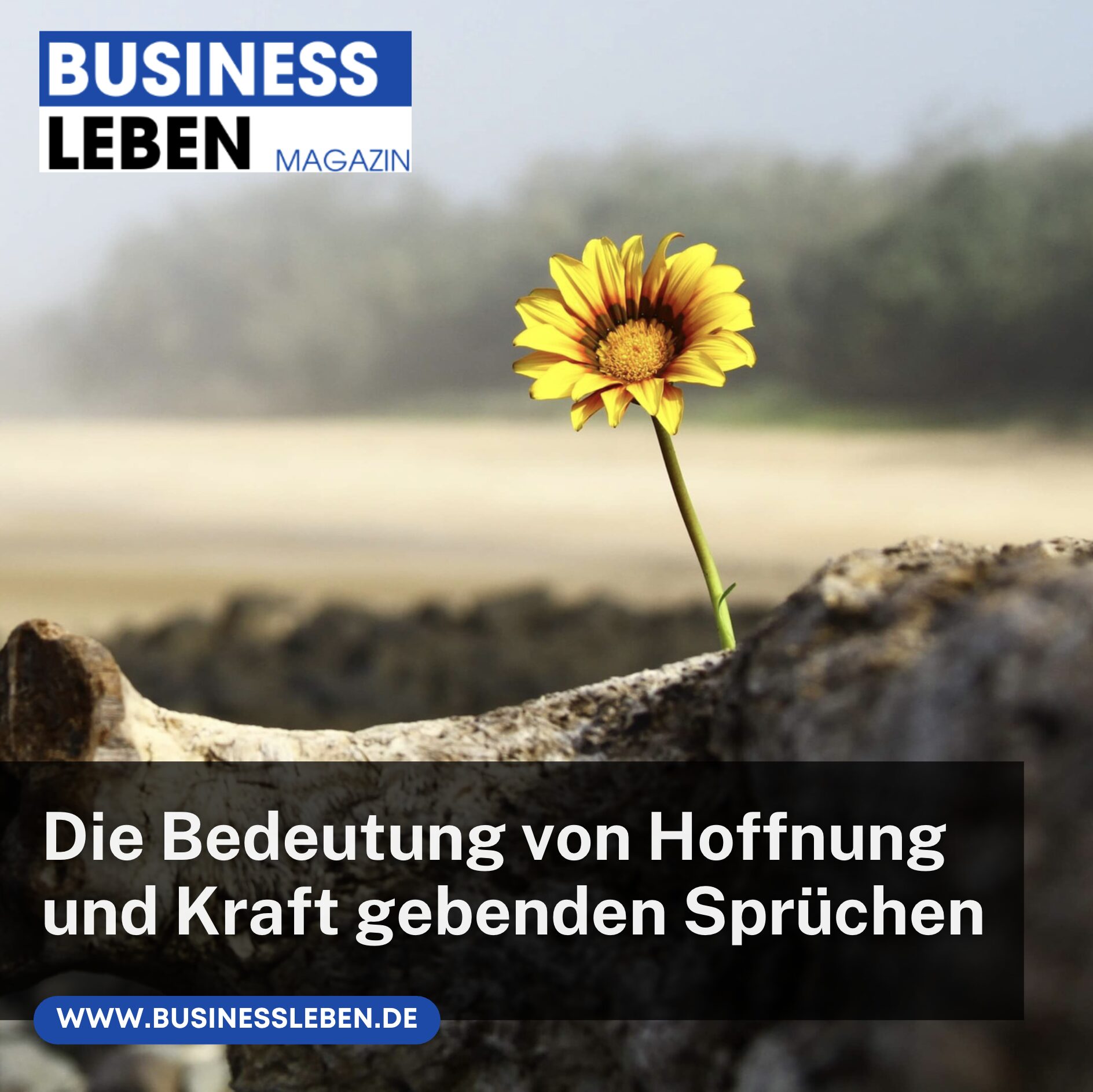 Die Bedeutung von Hoffnung und Kraft gebenden Sprüchen