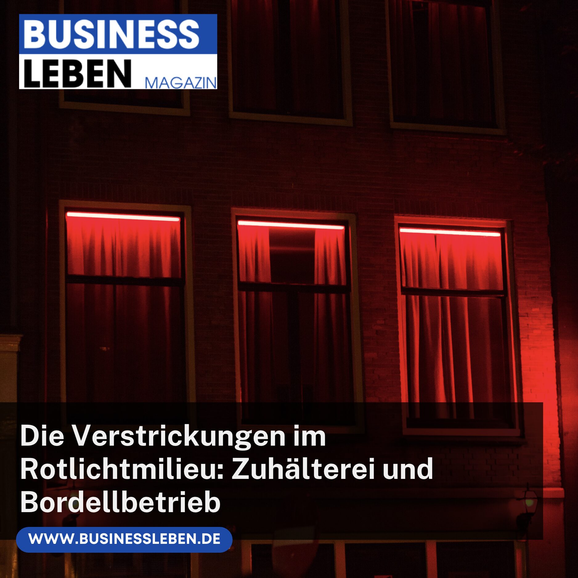Die Verstrickungen im Rotlichtmilieu: Zuhälterei und Bordellbetrieb