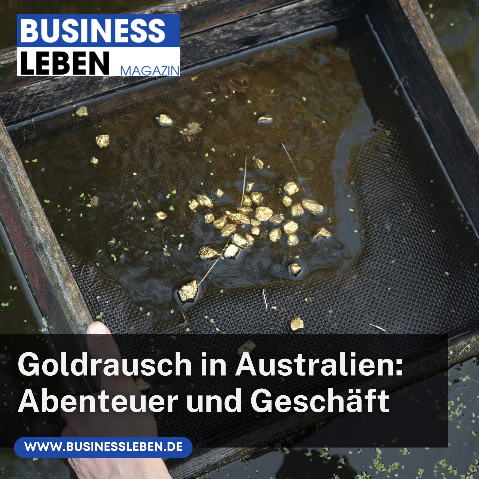 Goldrausch in Australien: Abenteuer und Geschäft