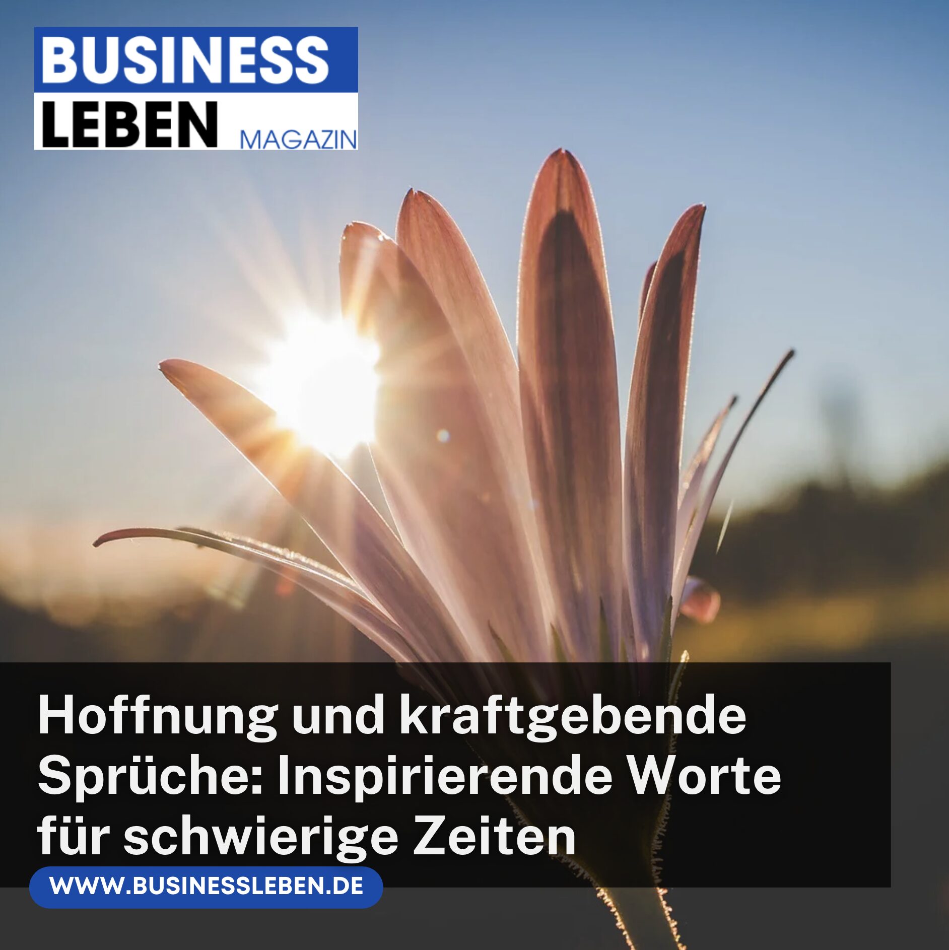 Hoffnung und kraftgebende Sprüche: Inspirierende Worte für schwierige Zeiten