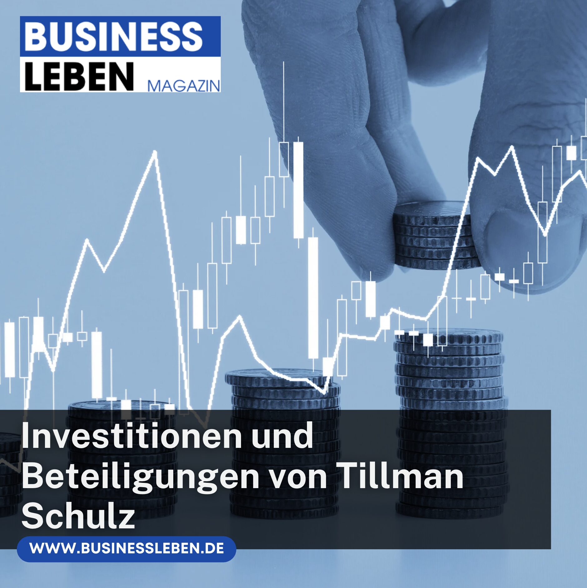 Investitionen und Beteiligungen von Tillman Schulz