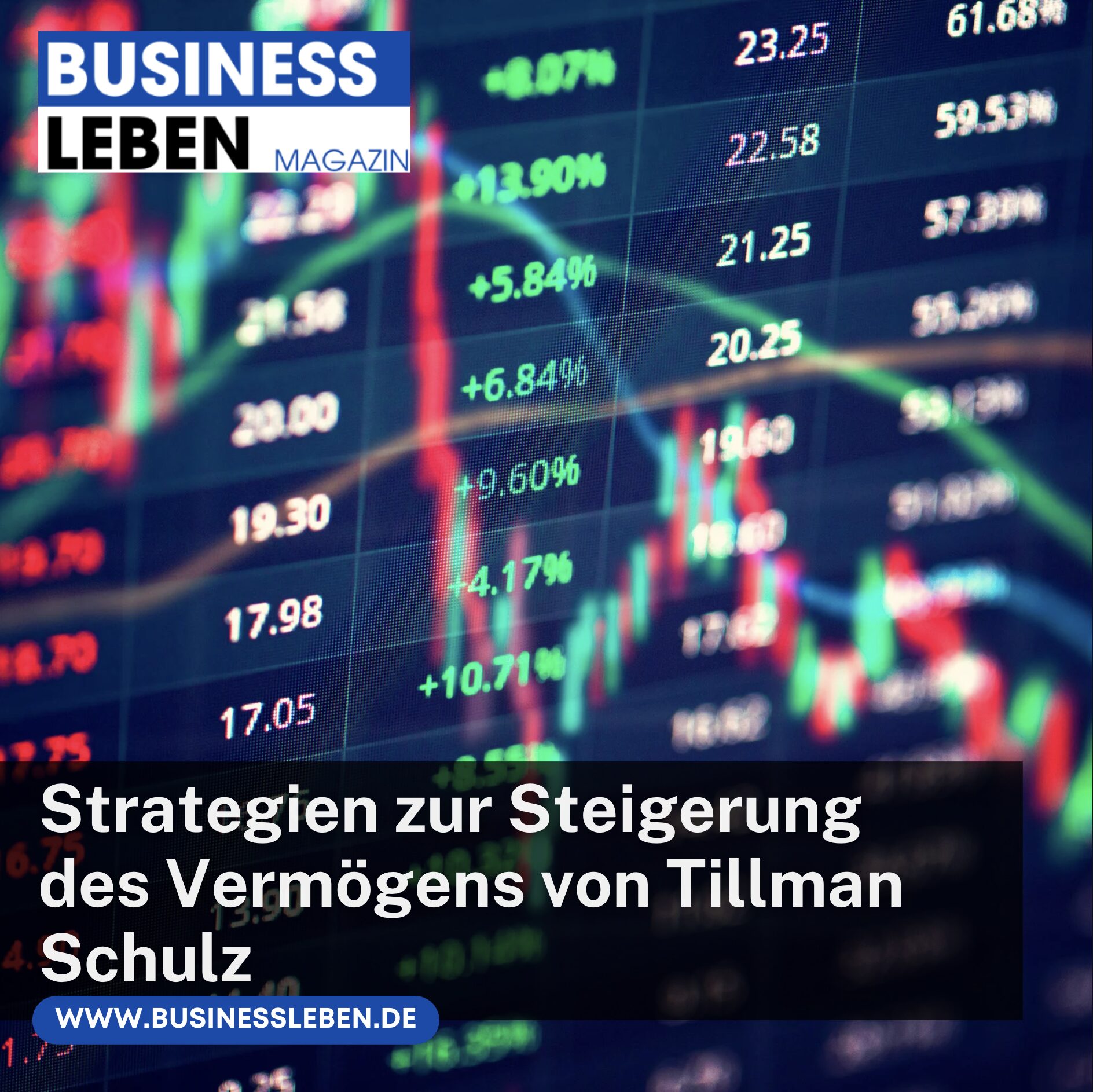Strategien zur Steigerung des Vermögens von Tillman Schulz