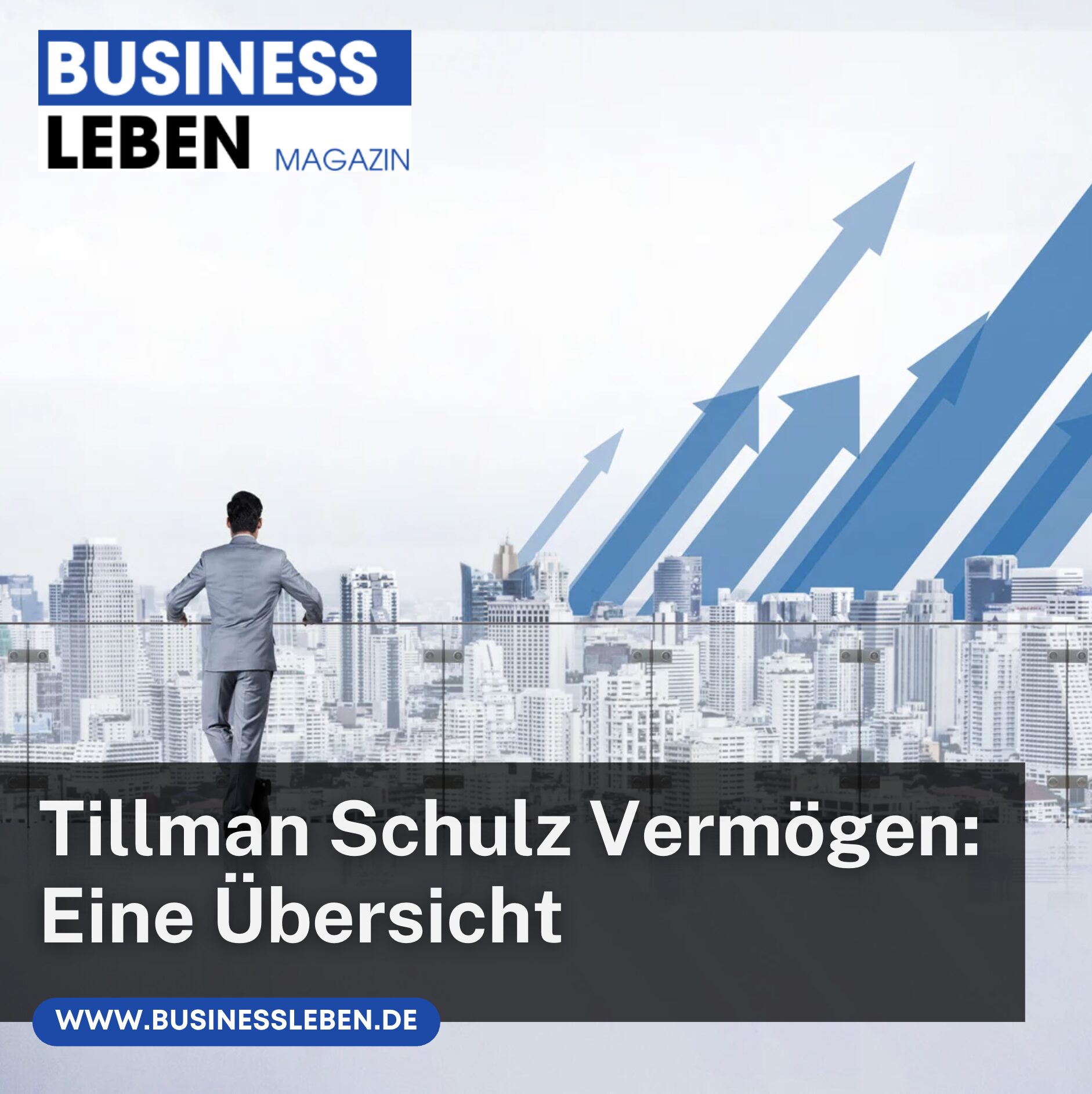 Tillman Schulz Vermögen: Eine Übersicht