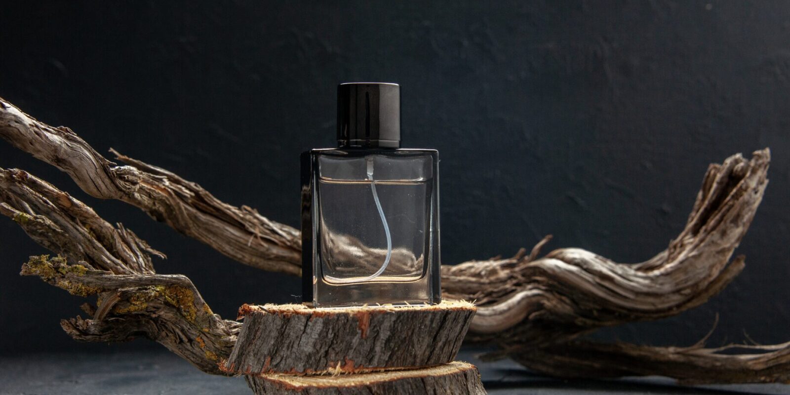 jeremy Fragrance Vermögen