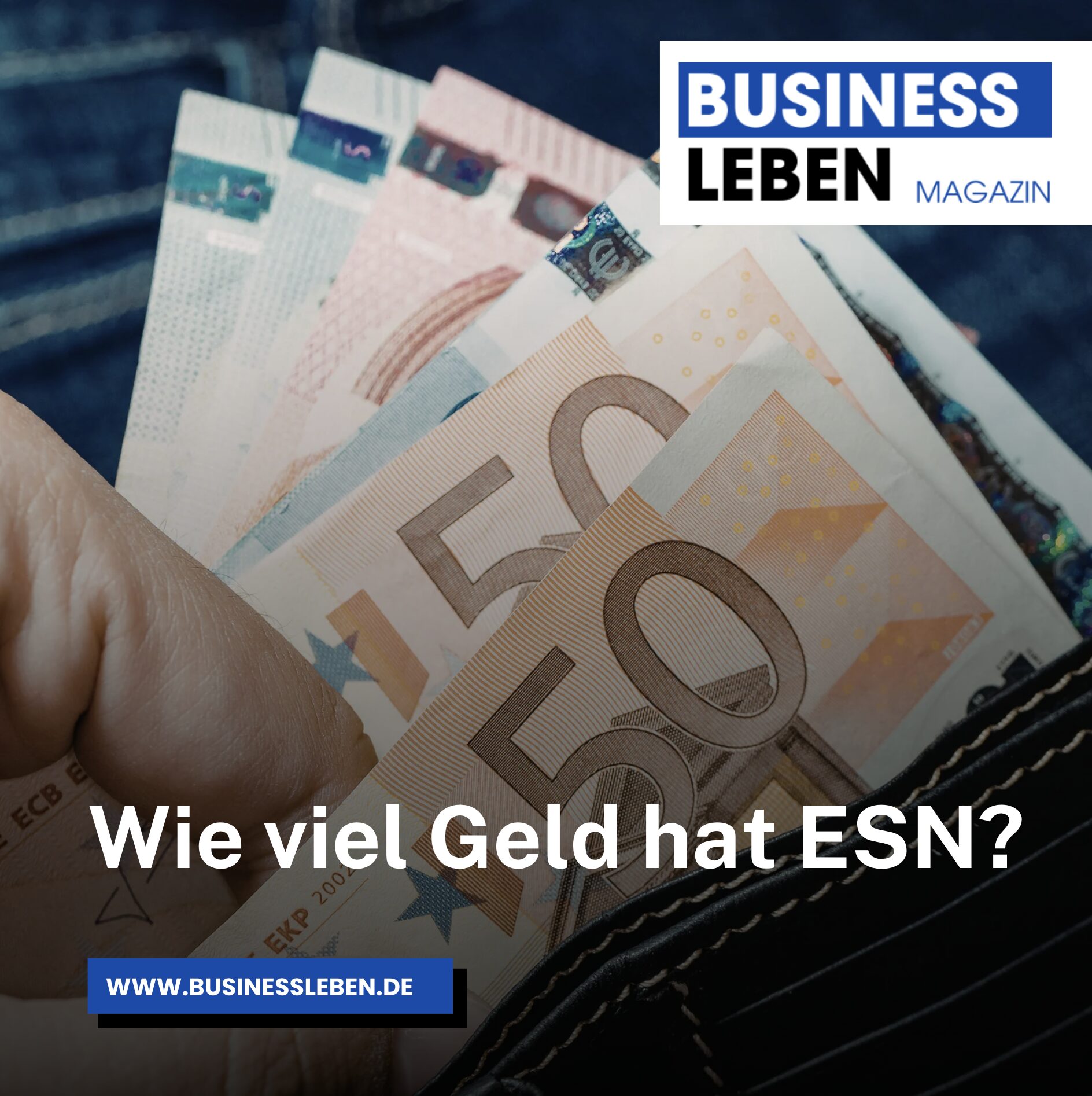Wie viel Geld hat ESN? Wie viel Geld hat ESN?
