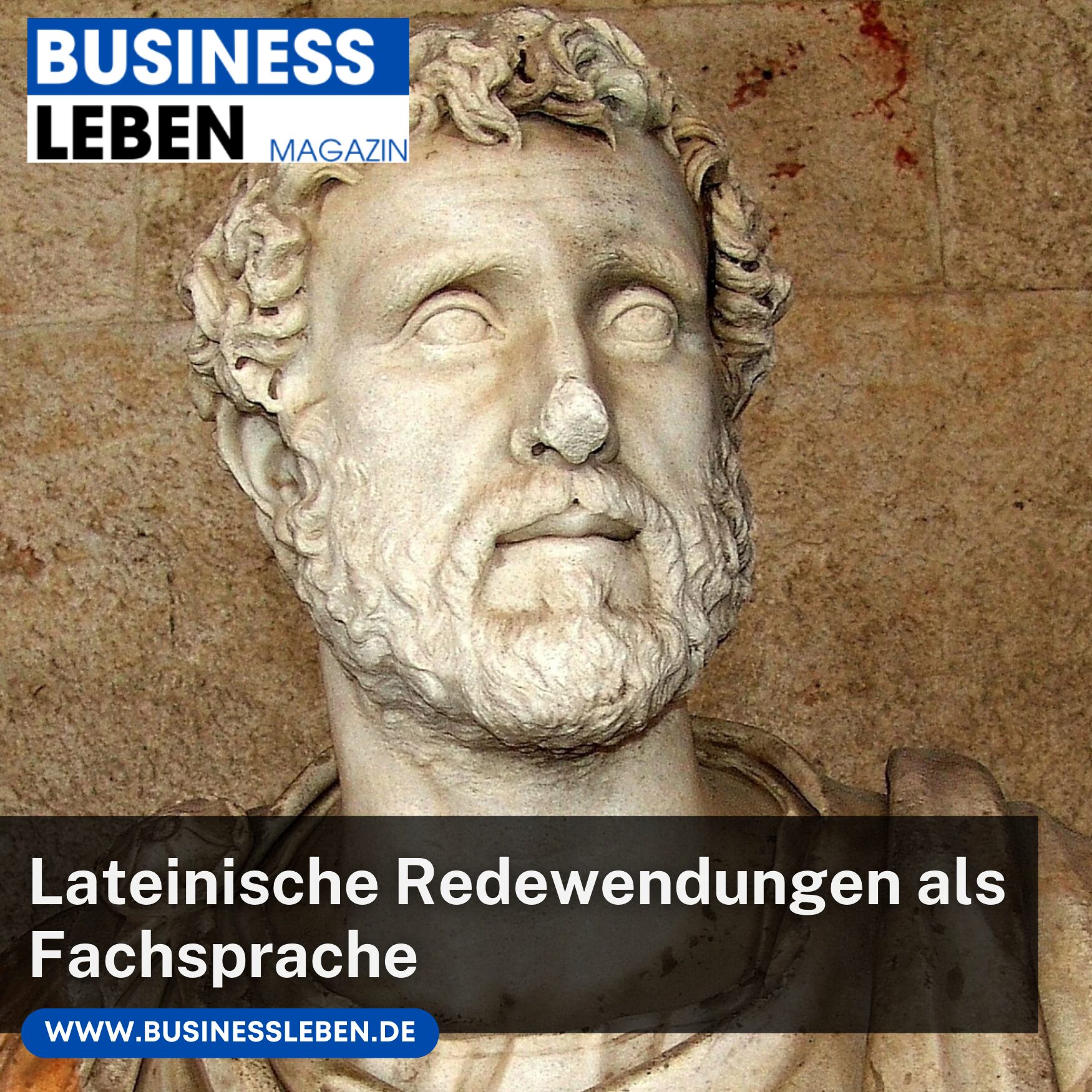 Lateinische Redewendungen als Fachsprache