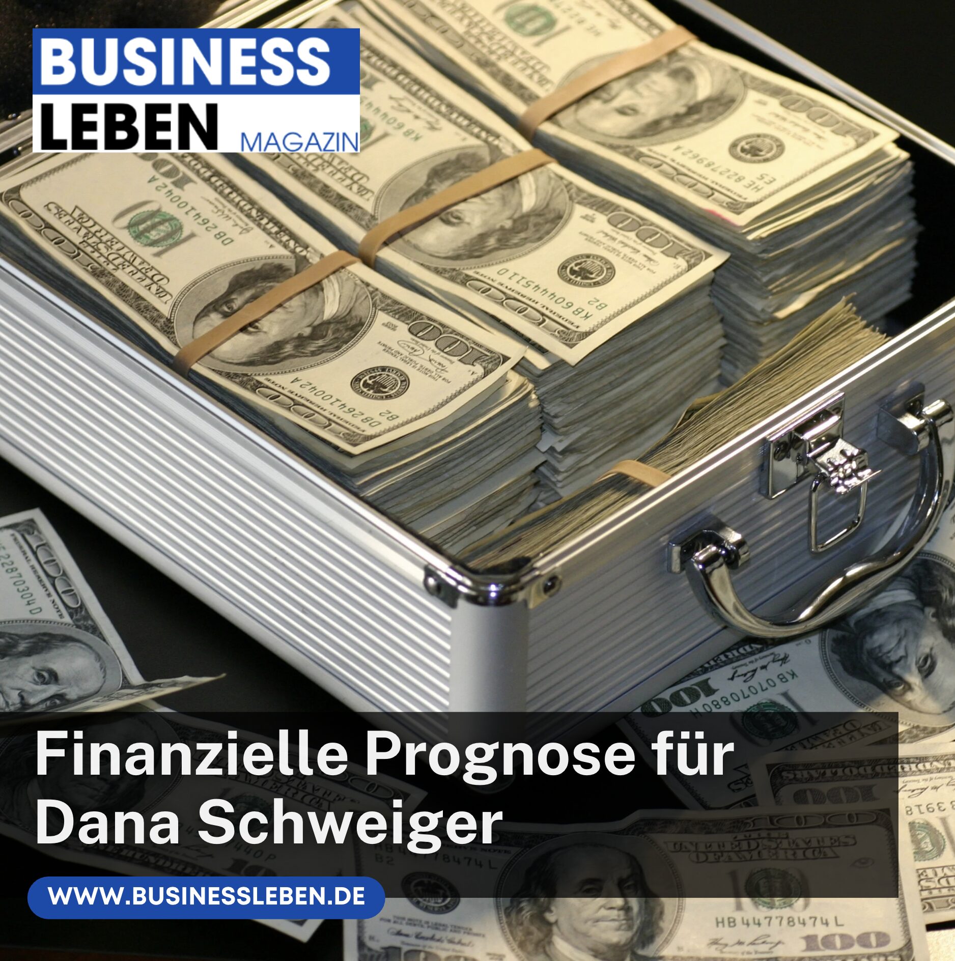 Finanzielle Prognose für Dana Schweiger