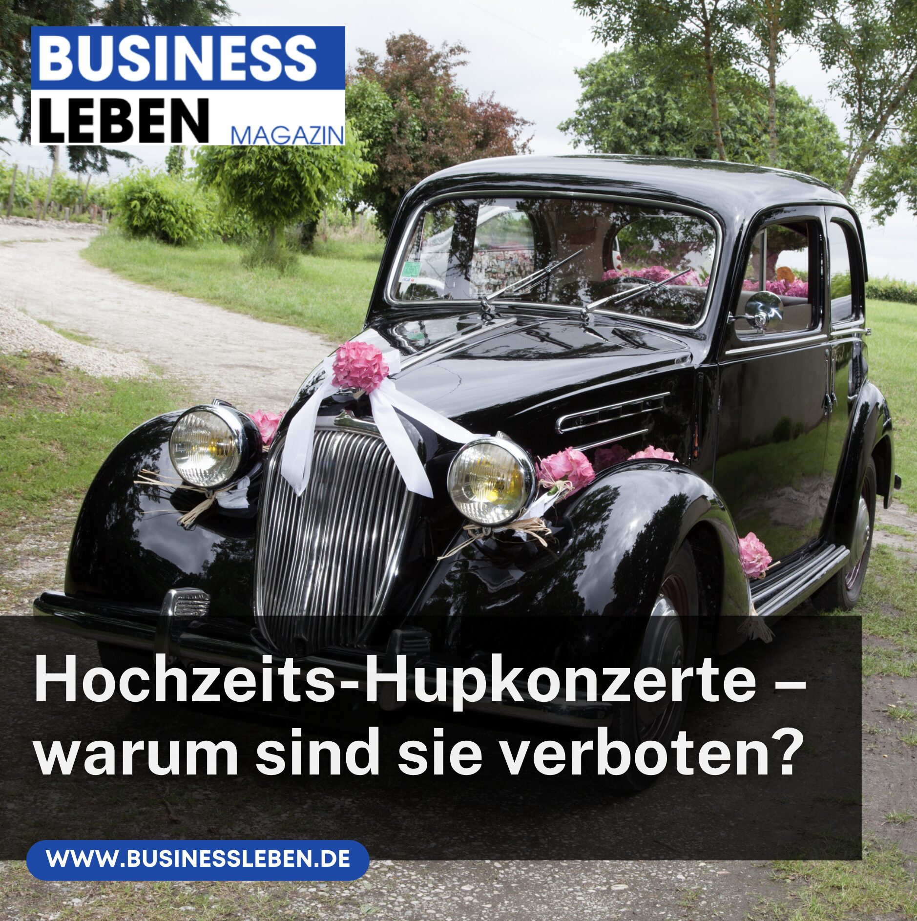 Hochzeits-Hupkonzerte – warum sind sie verboten?