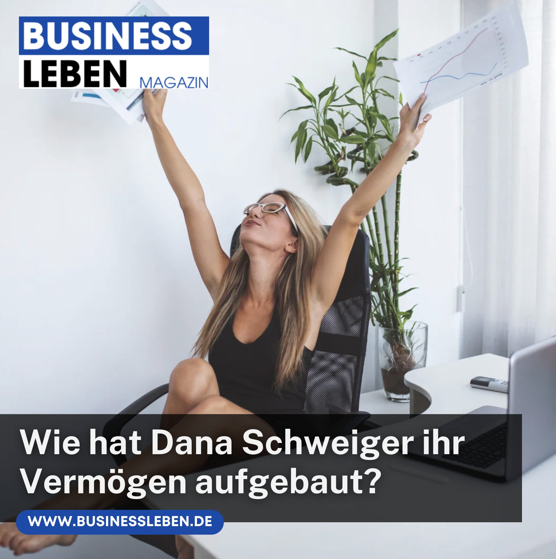 Wie hat Dana Schweiger ihr Vermögen aufgebaut?
