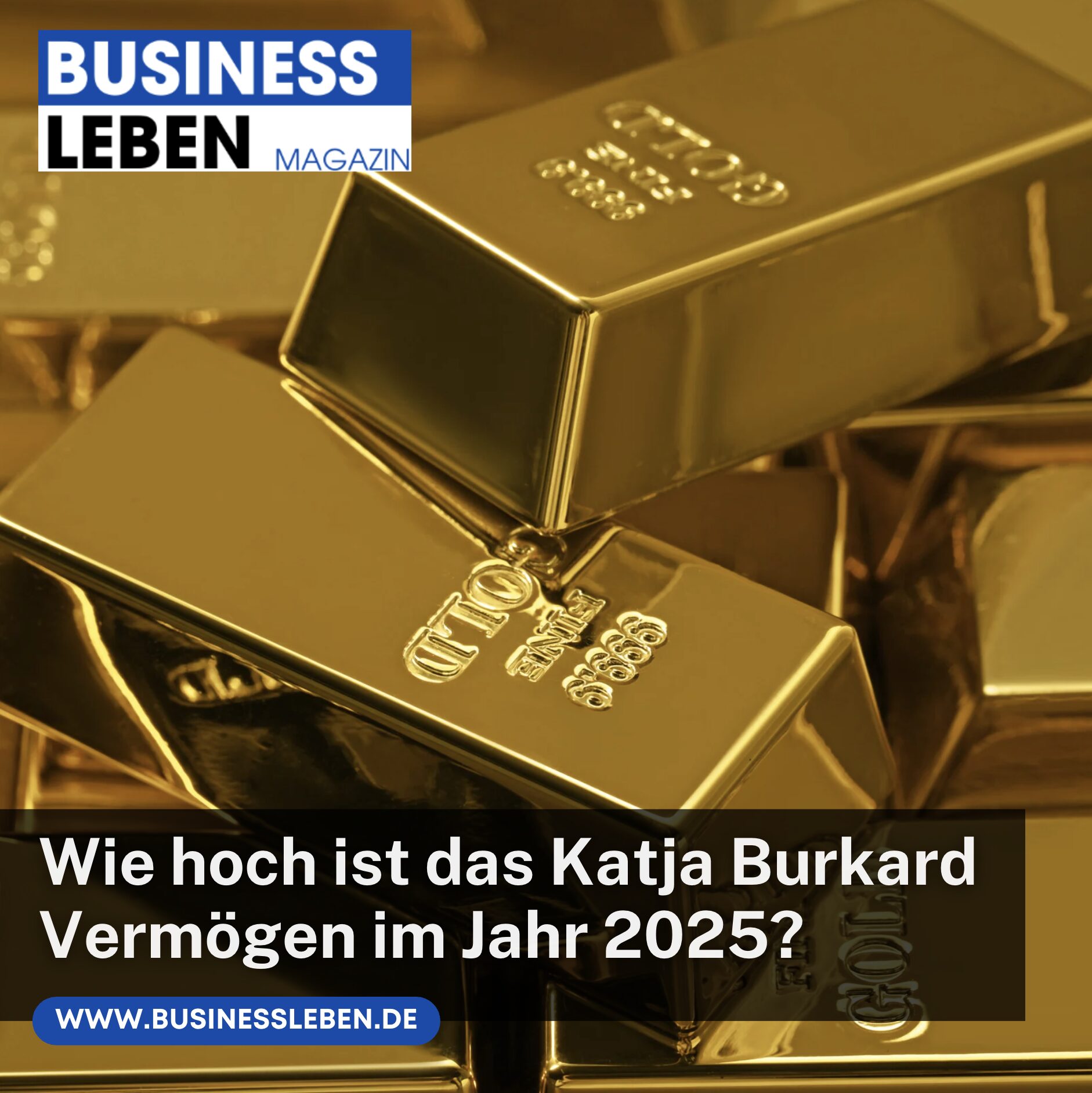Wie hoch ist das Katja Burkard Vermögen im Jahr 2025?