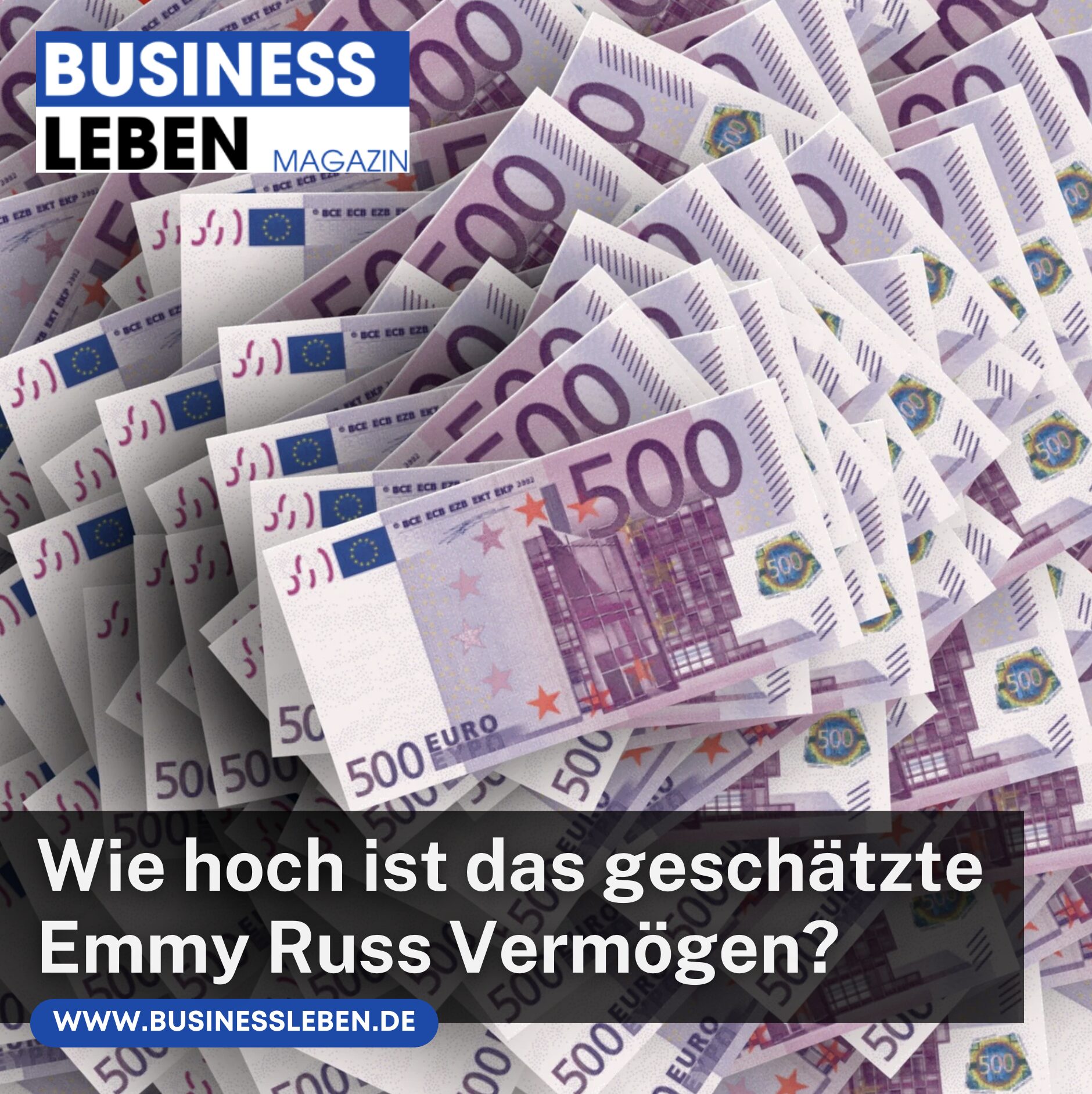 Wie hoch ist das geschätzte Emmy Russ Vermögen?