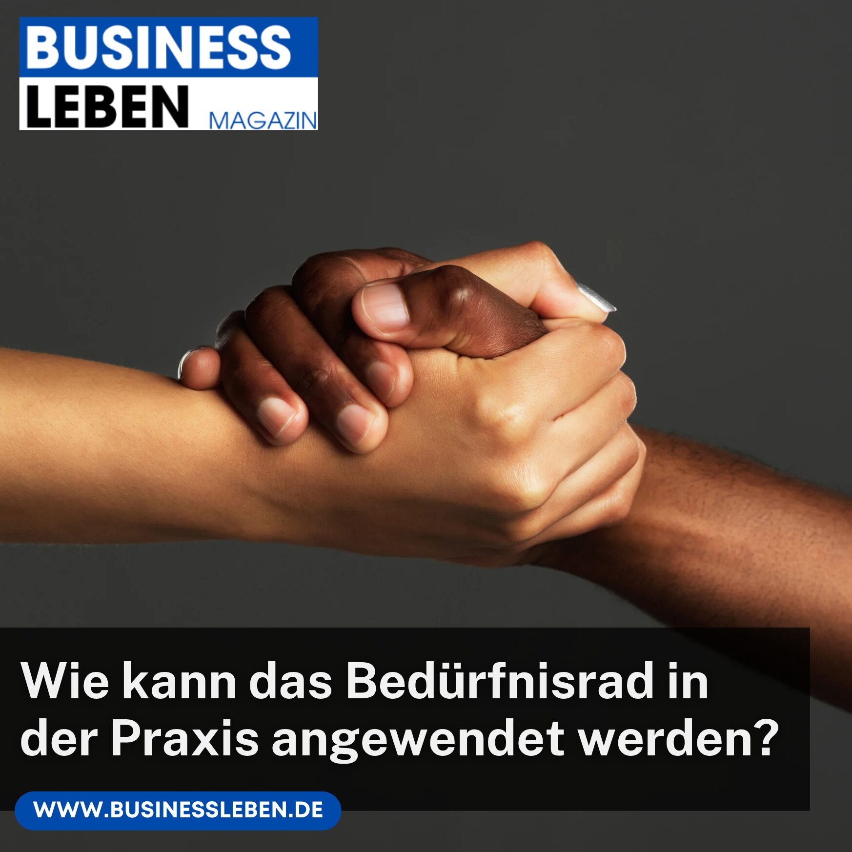 Wie kann das Bedürfnisrad in der Praxis angewendet werden?
