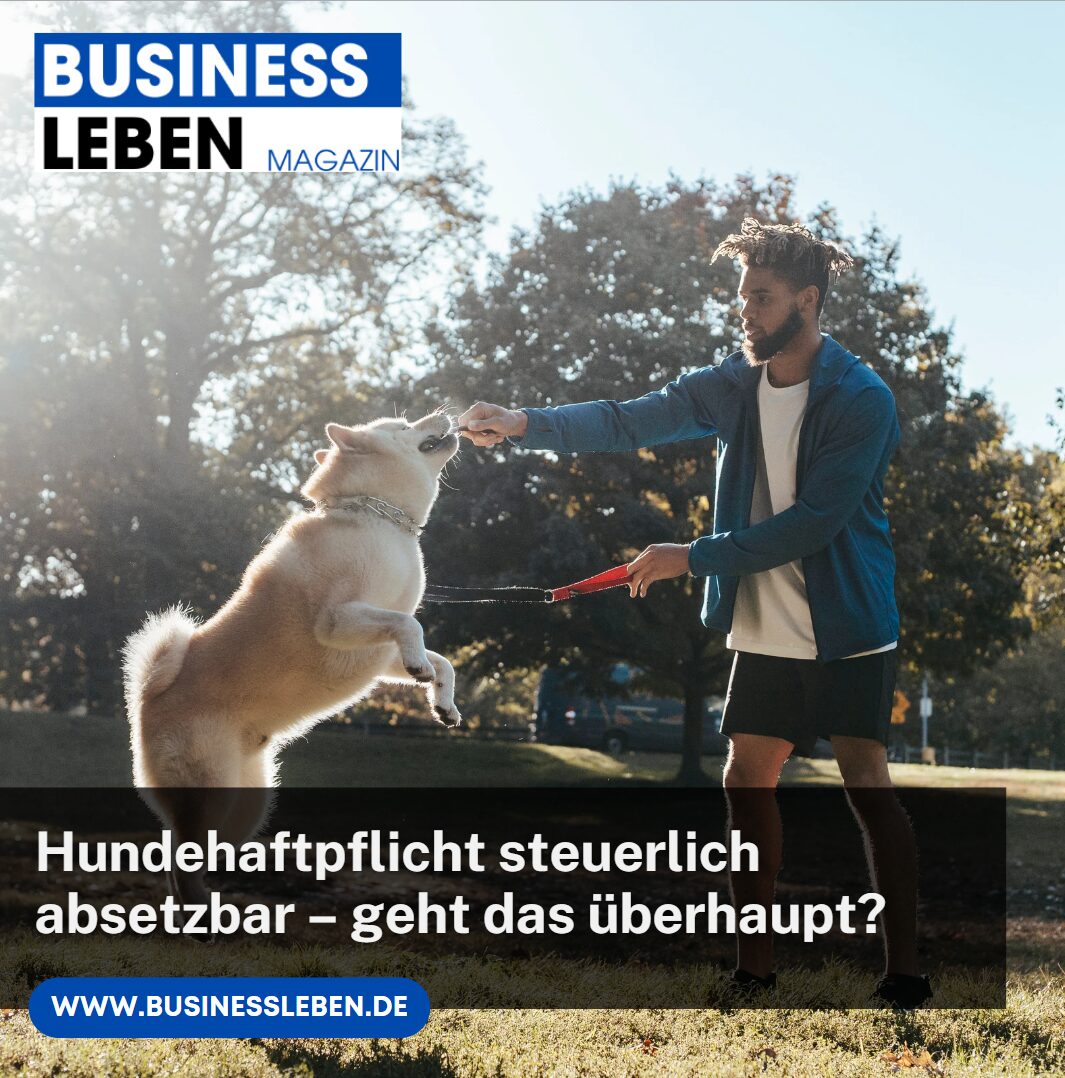 Hundehaftpflicht steuerlich absetzbar – geht das überhaupt