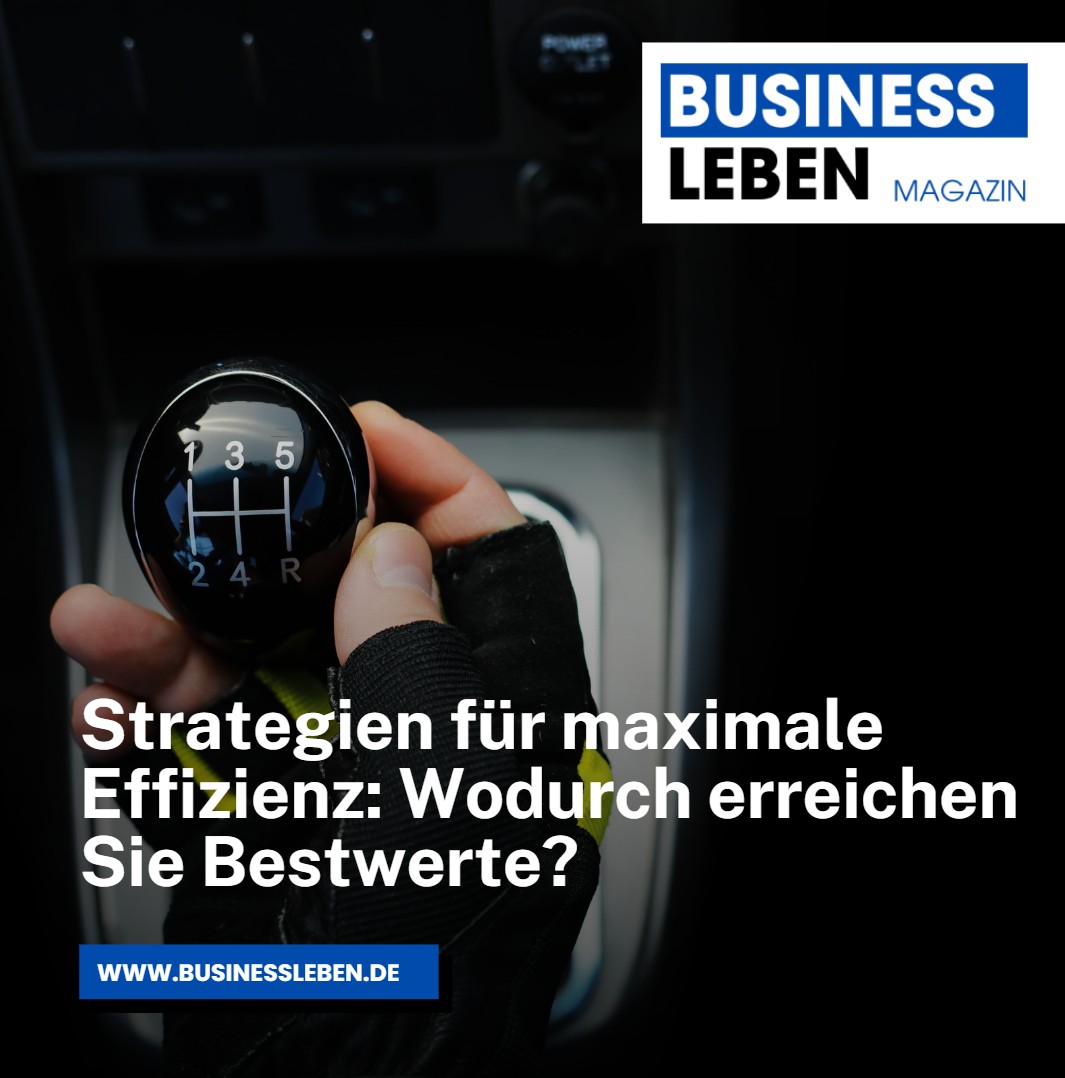 Strategien für maximale Effizienz Wodurch erreichen Sie Bestwerte Strategien für maximale Effizienz Wodurch erreichen Sie Bestwerte