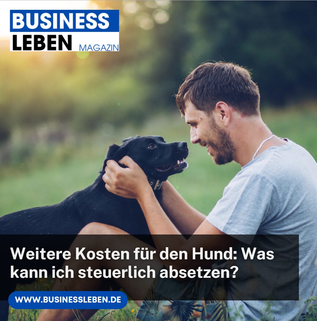 Weitere Kosten für den Hund Was kann ich steuerlich absetzen