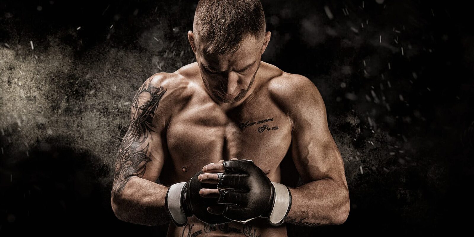 Conor McGregor Vermögen