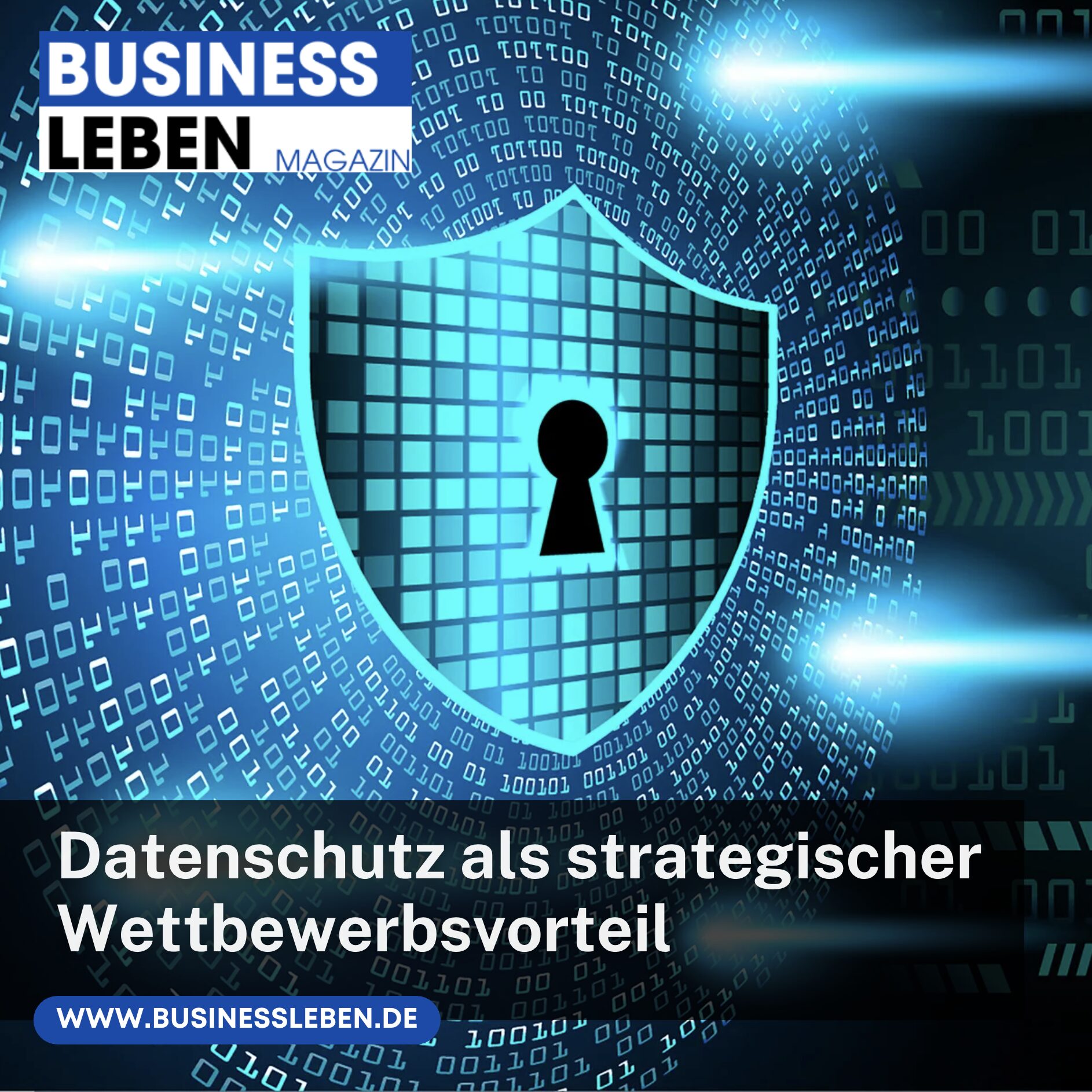 Datenschutz als strategischer Wettbewerbsvorteil