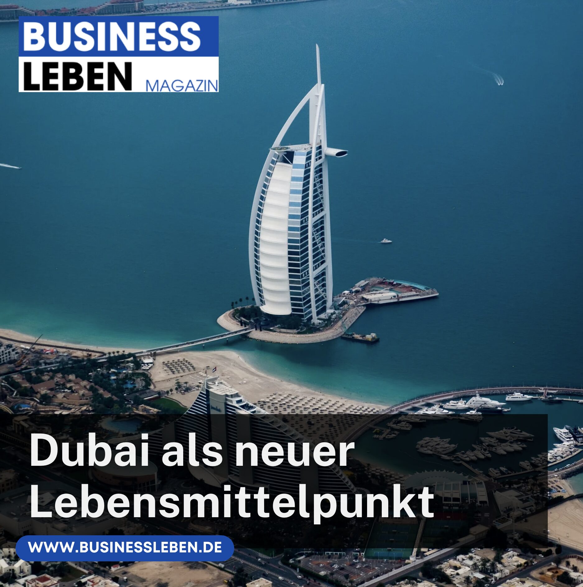 Dubai Saygin Yalcin Vermögen