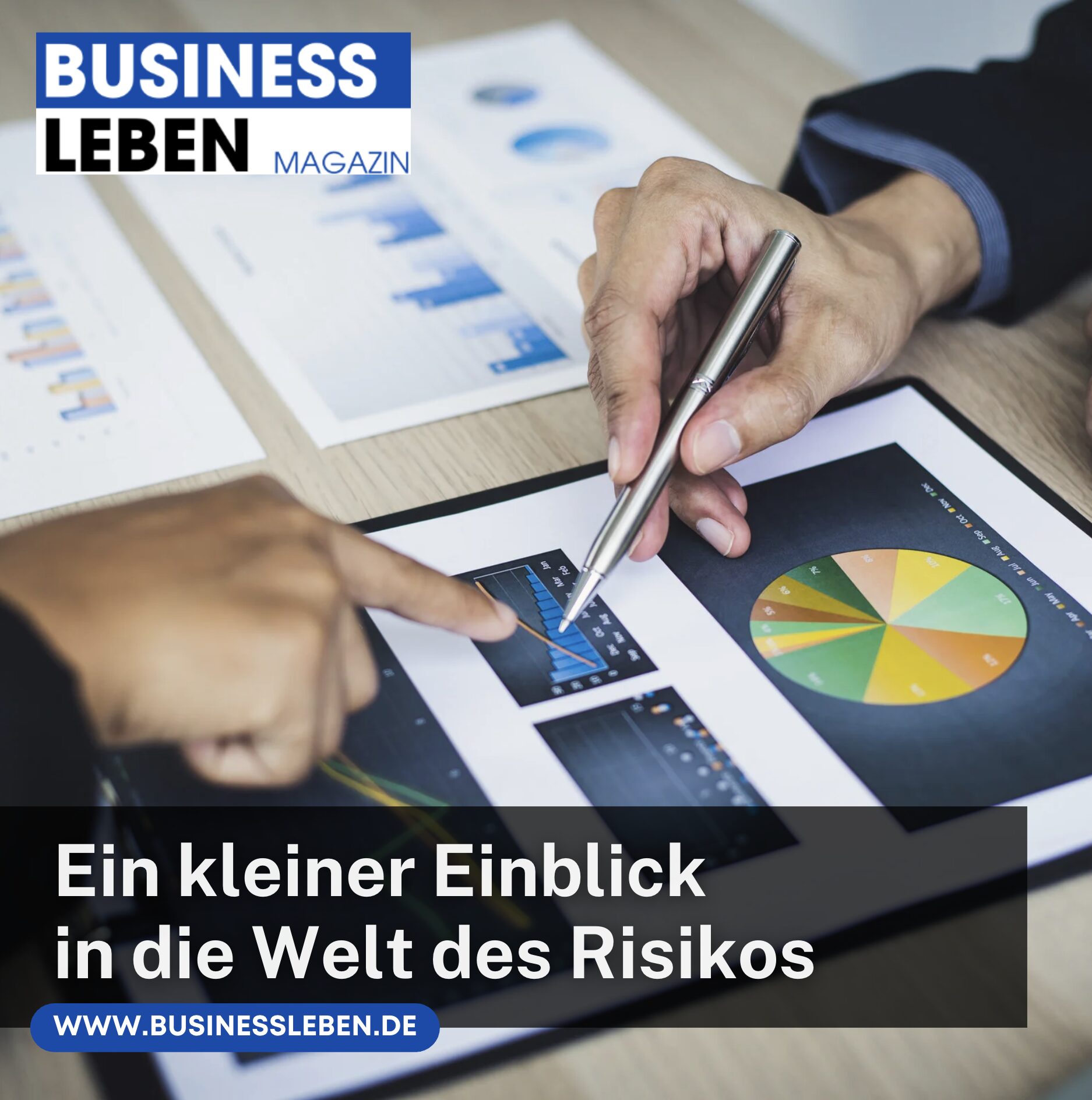 Ein kleiner Einblick in die Welt des Risikos