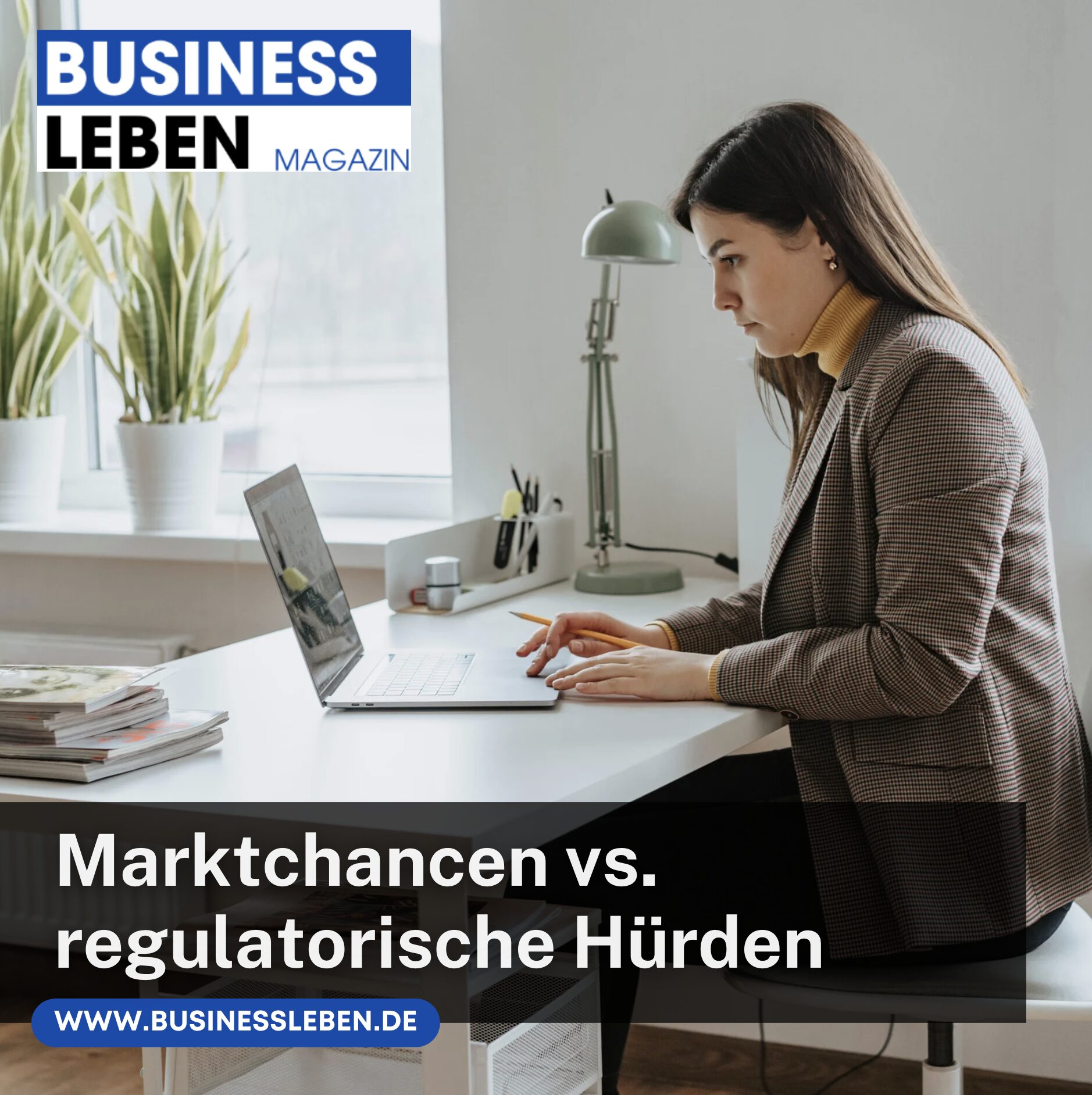Marktchancen vs. regulatorische Hürden