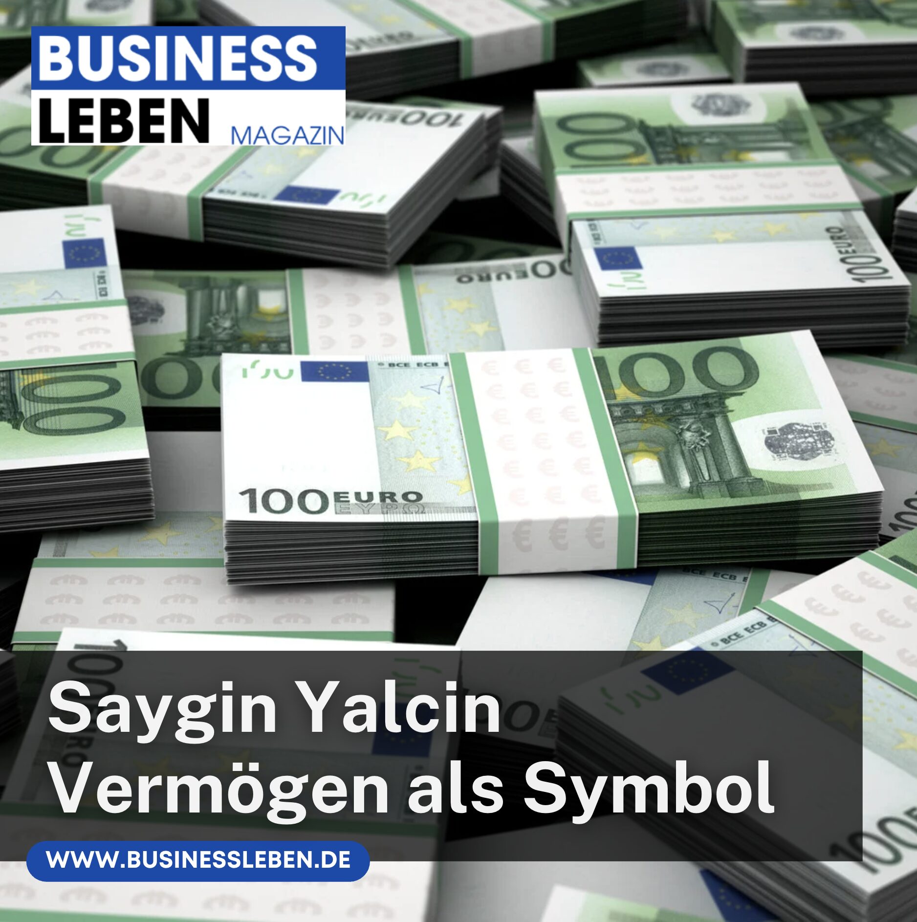 Saygin Yalcin Vermögen als Symbol unternehmerischer Leistung