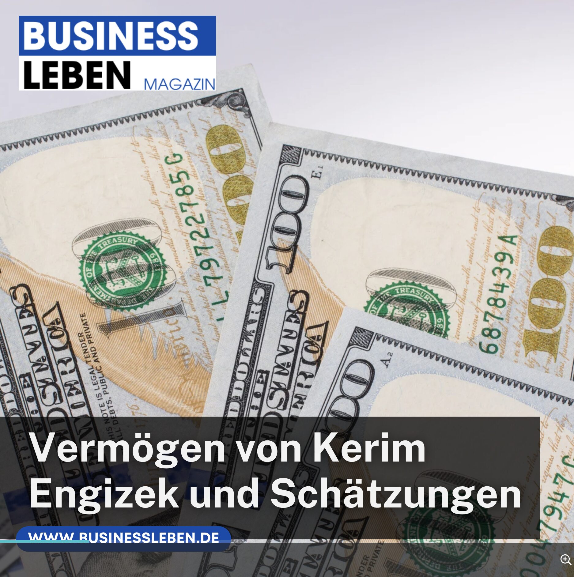 Vermögen von Kerim Engizek und Schätzungen Vermögen von Kerim Engizek und Schätzungen