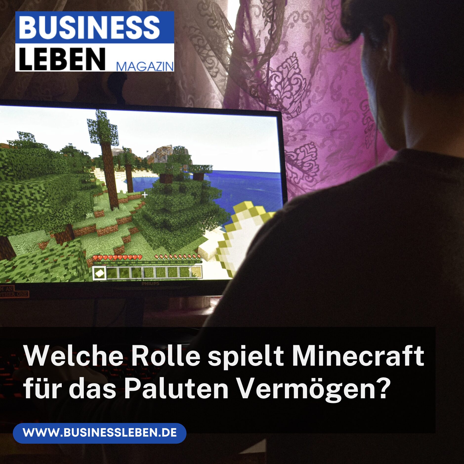 Welche Rolle spielt Minecraft für das Paluten Vermögen?