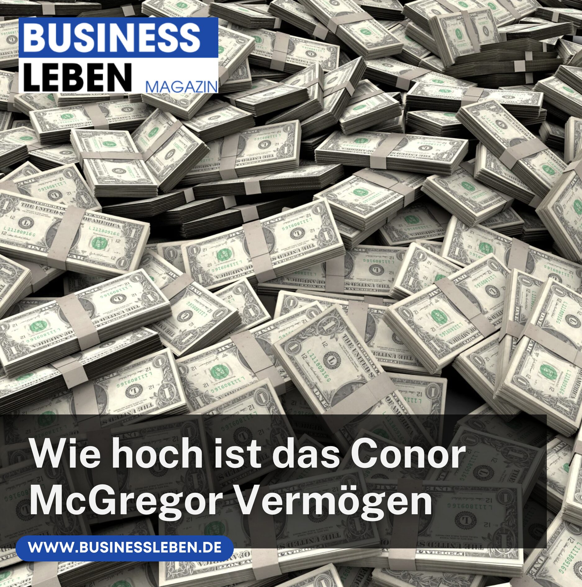 Wie hoch das Conor McGregor Vermögen