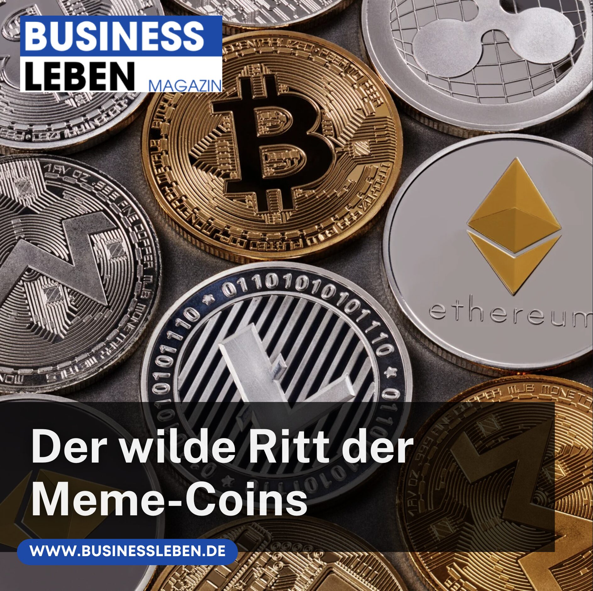 Der wilde Ritt der Meme-Coins Der wilde Ritt der Meme-Coins