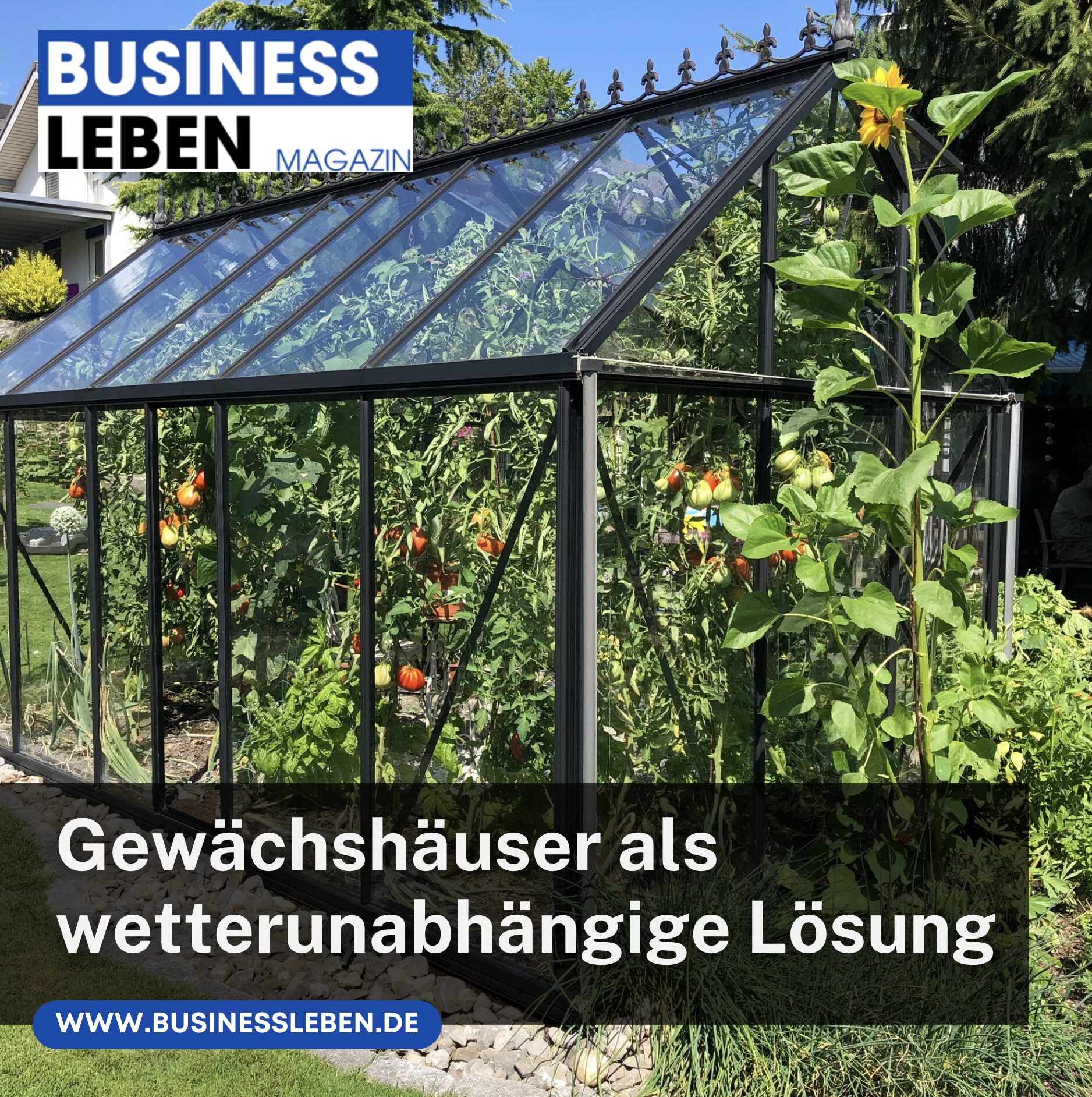 Gewächshäuser als wetterunabhängige Lösung