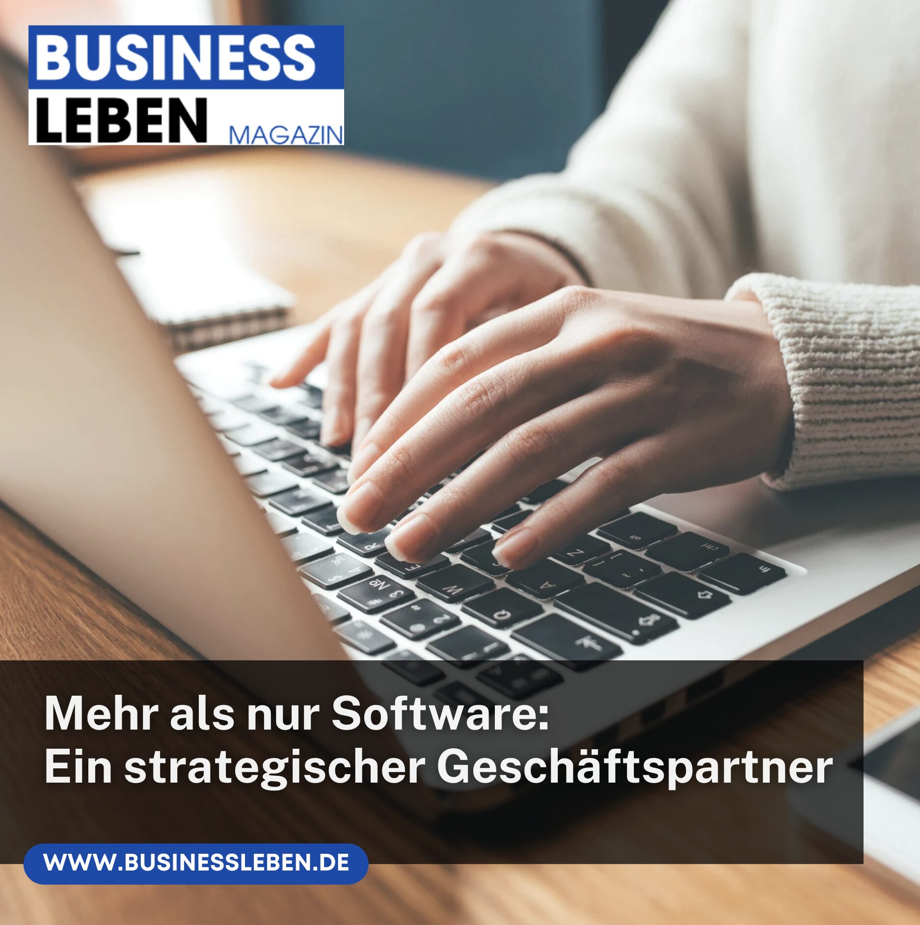 Mehr als nur Software ERP Lösungen
