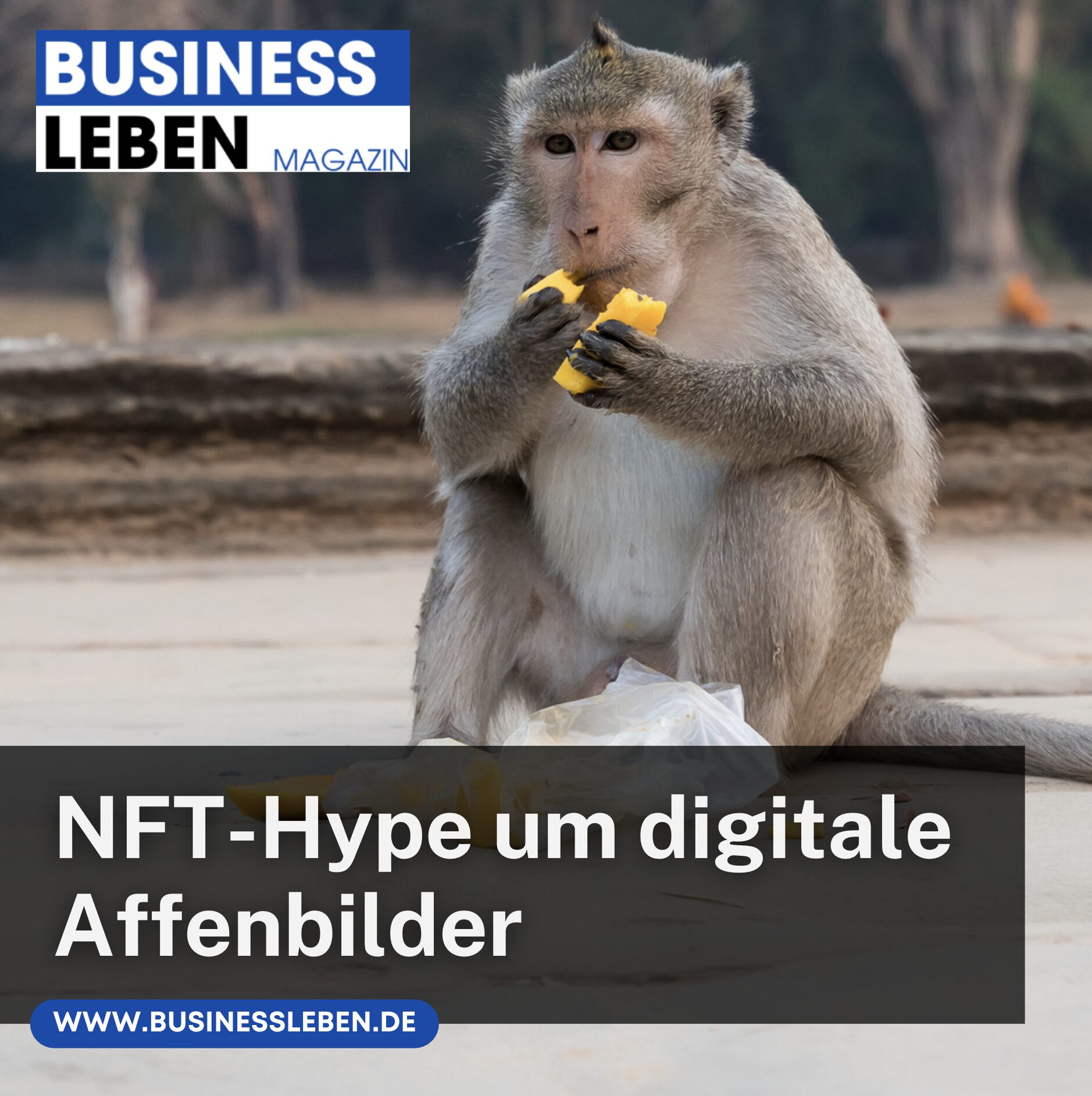 NFT-Hype um digitale Affenbilder NFT-Hype um digitale Affenbilder