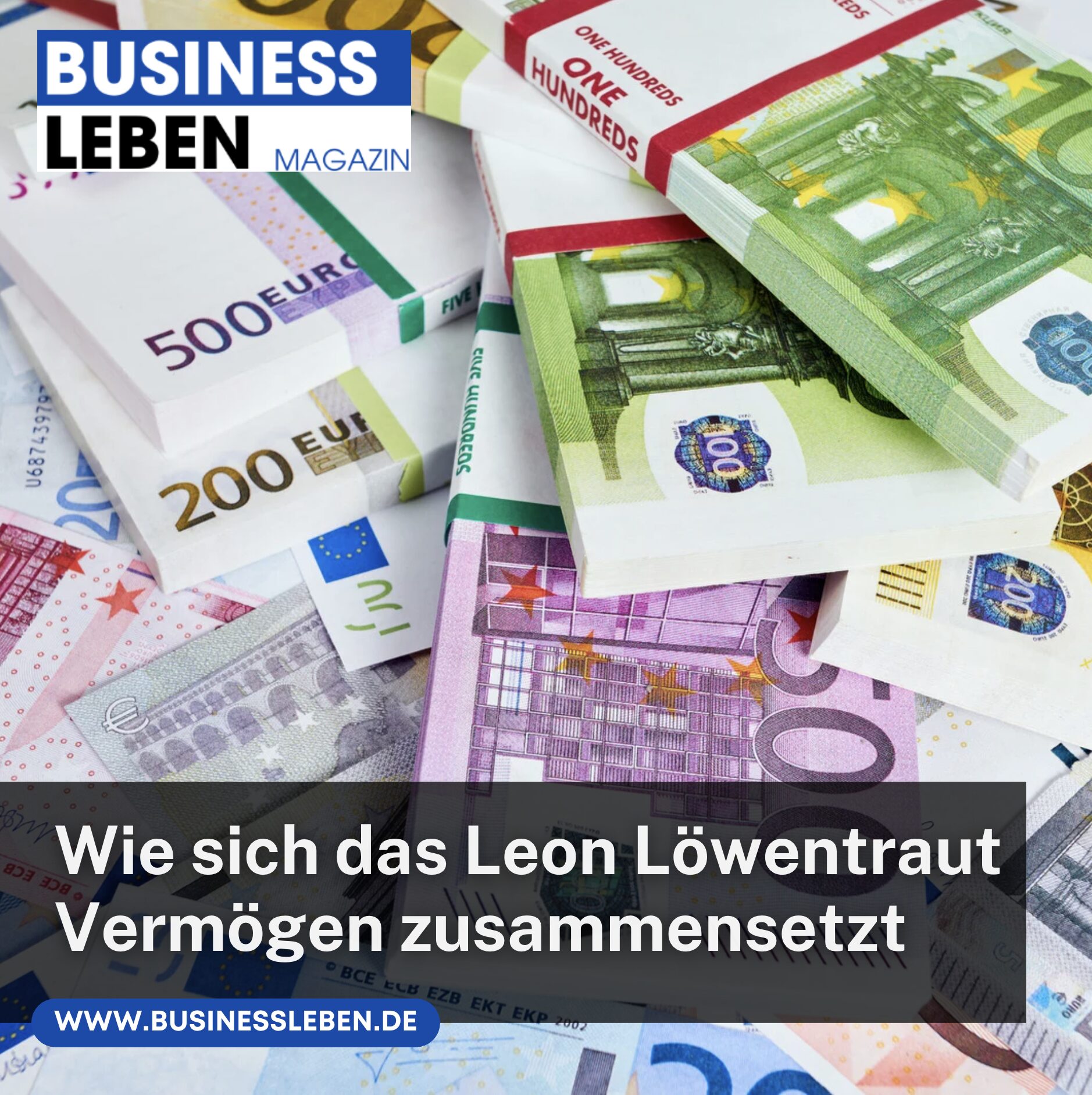 Wie sich das Leon Löwentraut Vermögen zusammensetzt