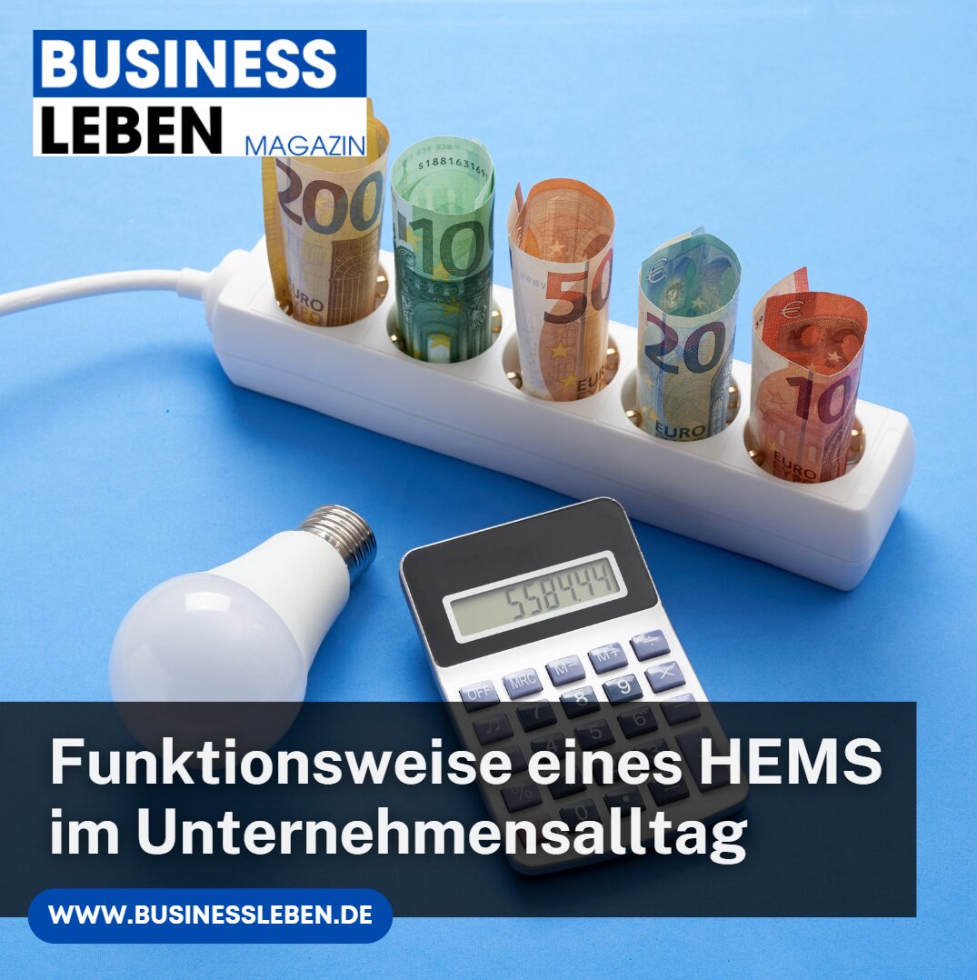 hems unternehmensalltag