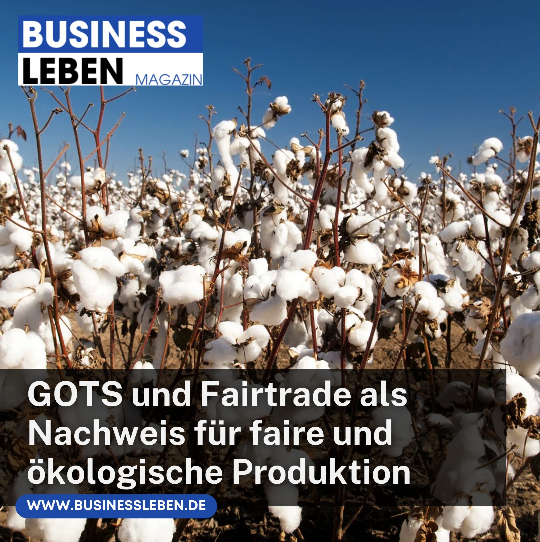 GOTS und Fairtrade als Nachweis für faire und ökologische Produktion
