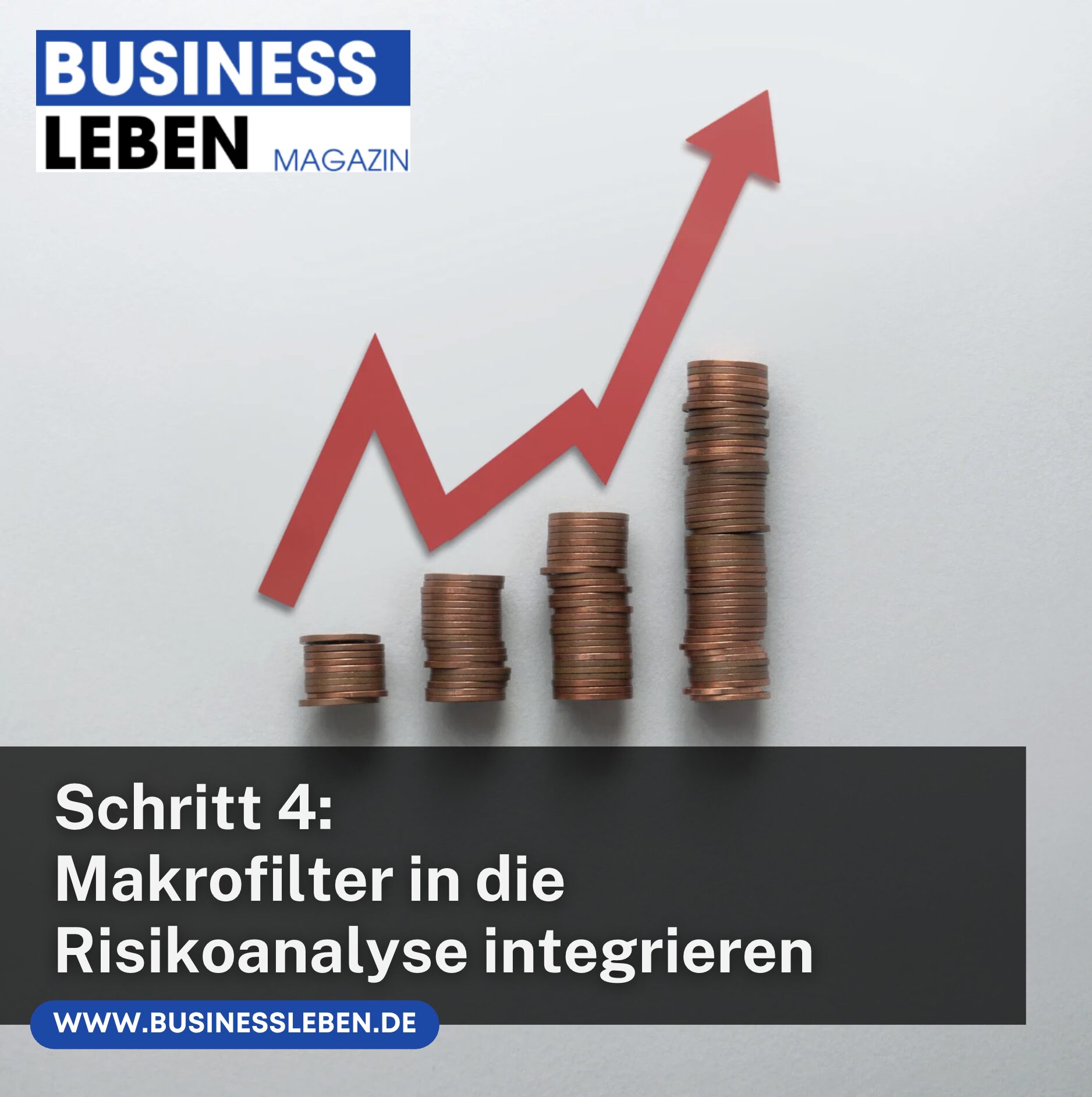 Schritt 4: Makrofilter in die Risikoanalyse integrieren