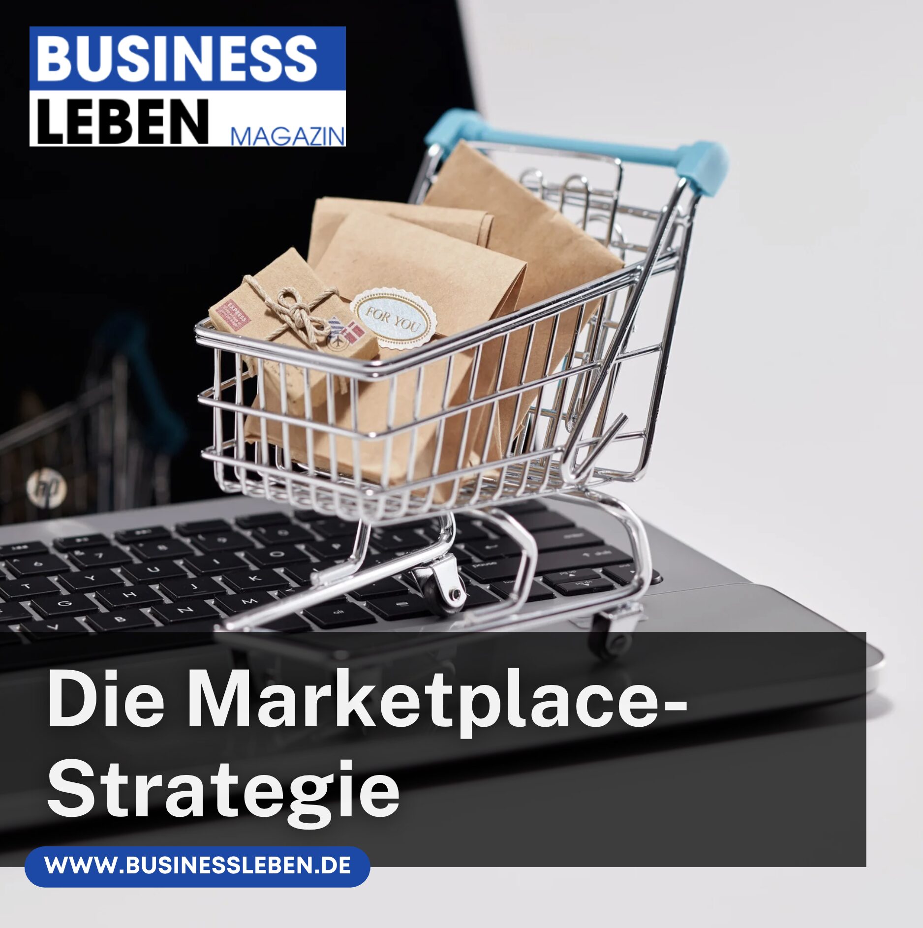 Die Marketplace-Strategie