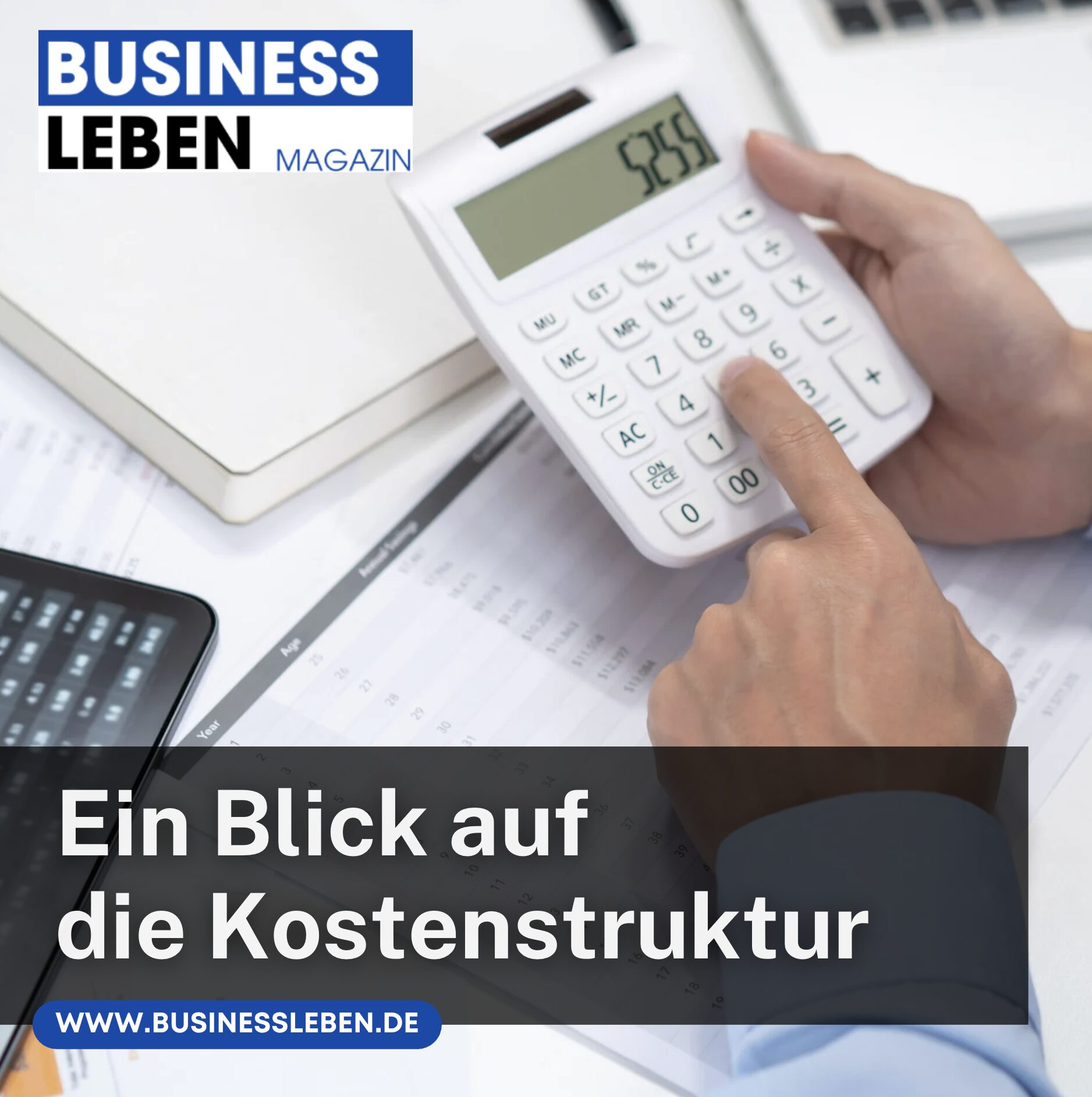 Ein Blick auf die Kostenstruktur