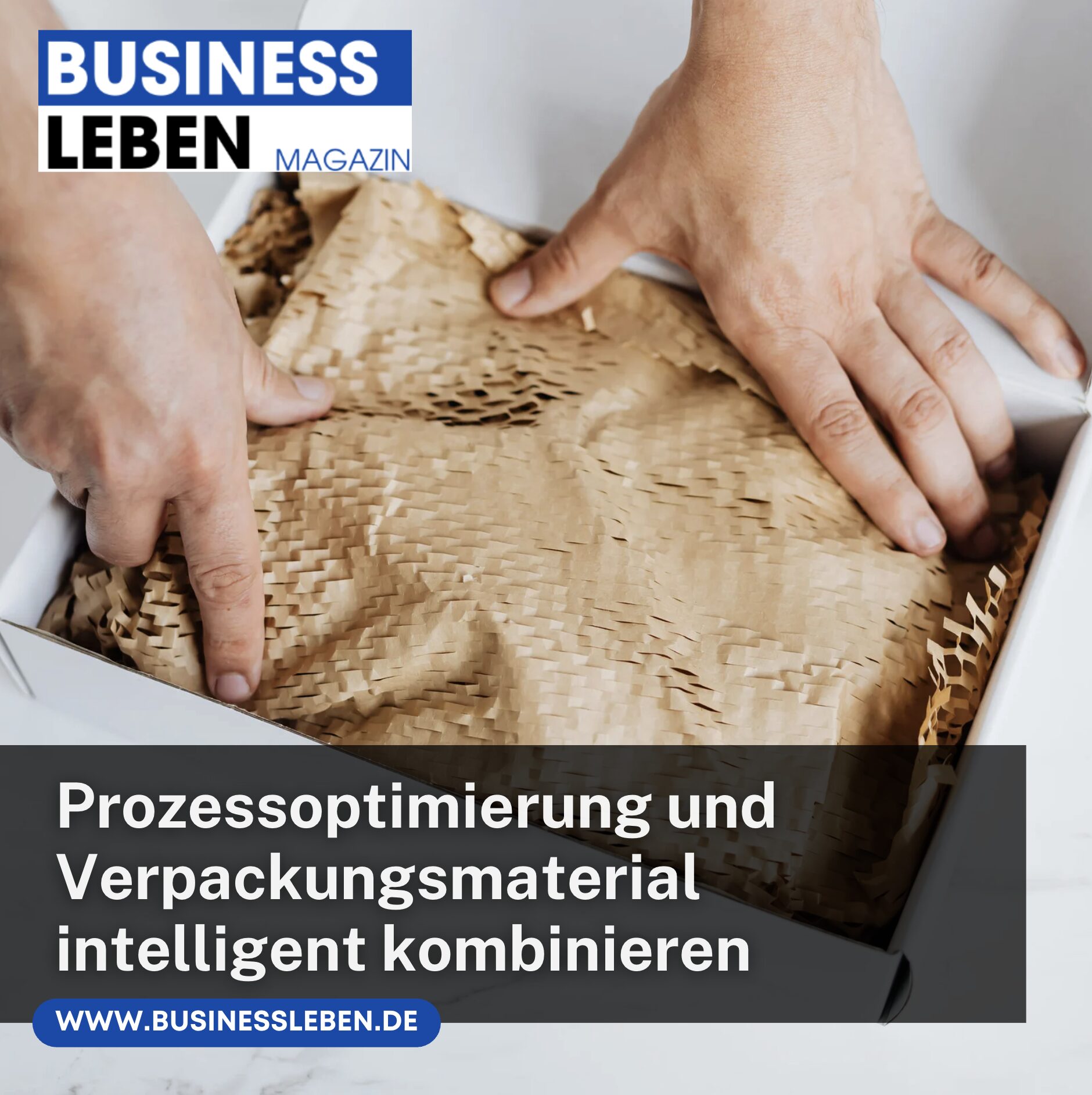 Prozessoptimierung und Verpackungsmaterial intelligent kombinieren
