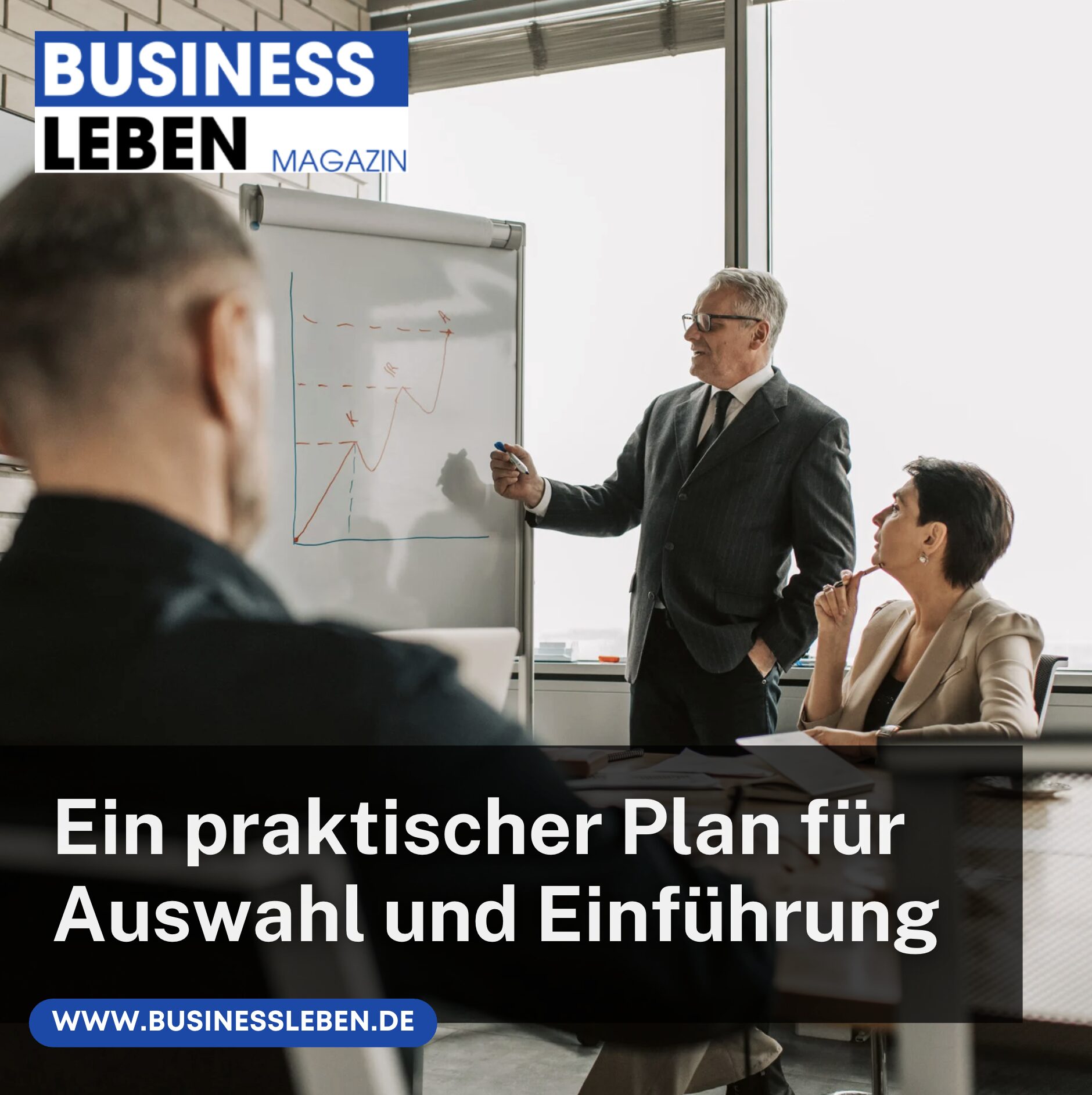 Ein praktischer Plan für Auswahl und Einführung Ein praktischer Plan für Auswahl und Einführung