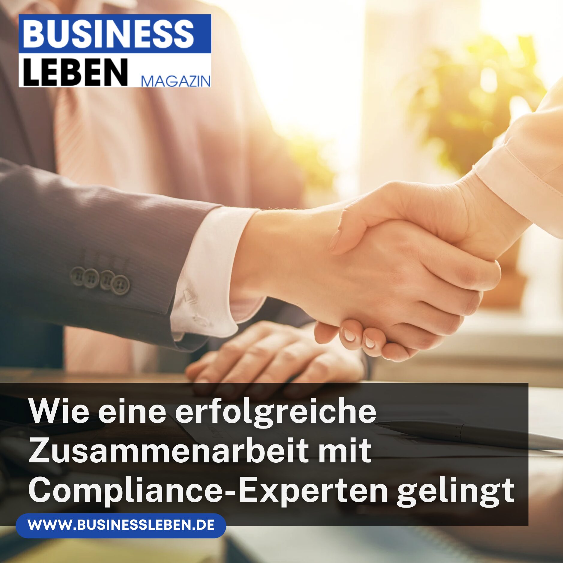 Wie eine erfolgreiche Zusammenarbeit mit Compliance-Experten gelingt