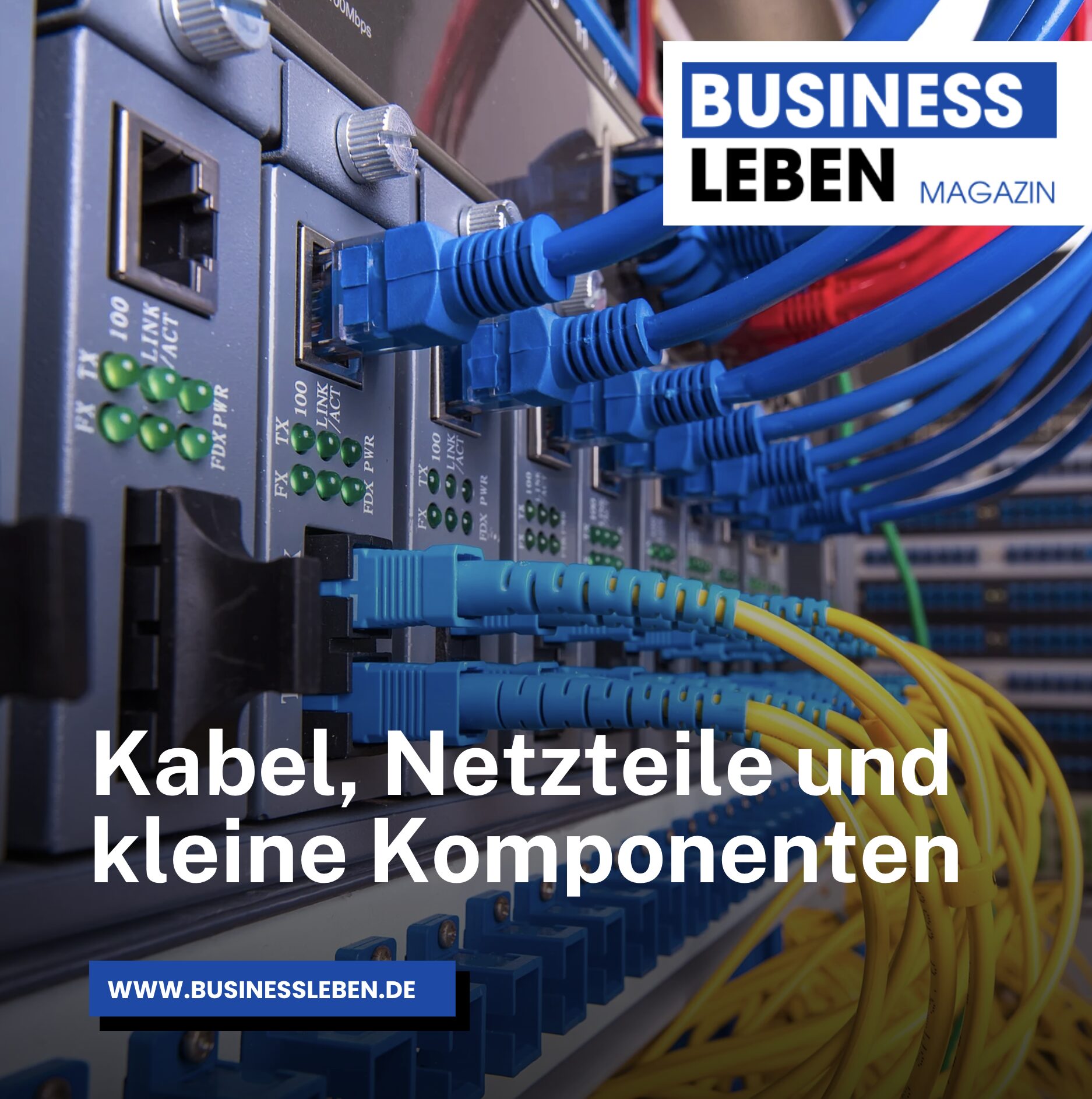 Kabel, Netzteile und kleine Komponenten Kabel, Netzteile und kleine Komponenten