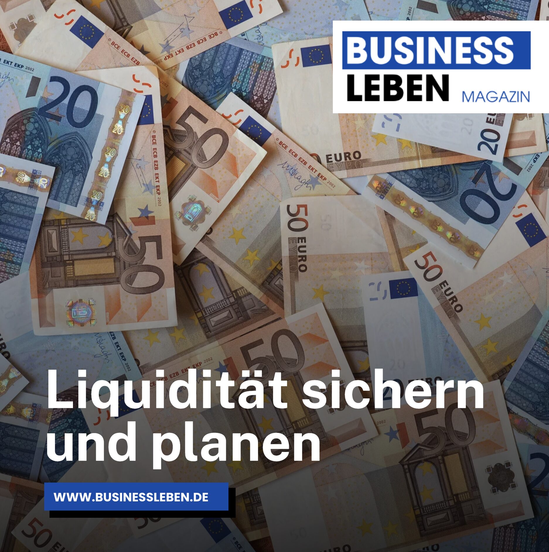 Liquidität sichern und planen Liquidität sichern und planen