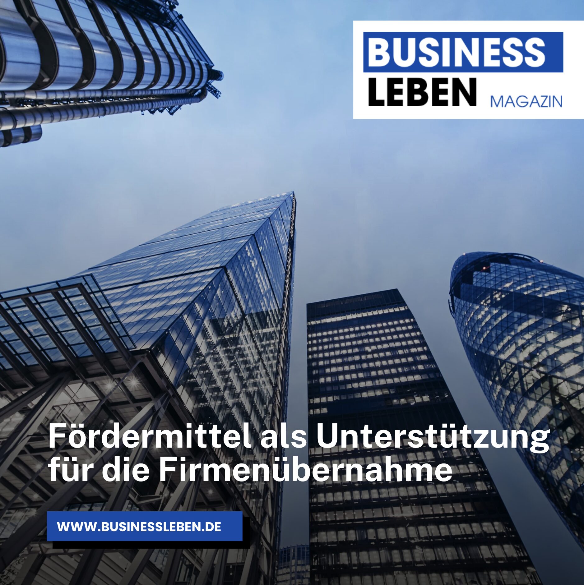 Fördermittel als Unterstützung für die Firmenübernahme Fördermittel als Unterstützung für die Firmenübernahme