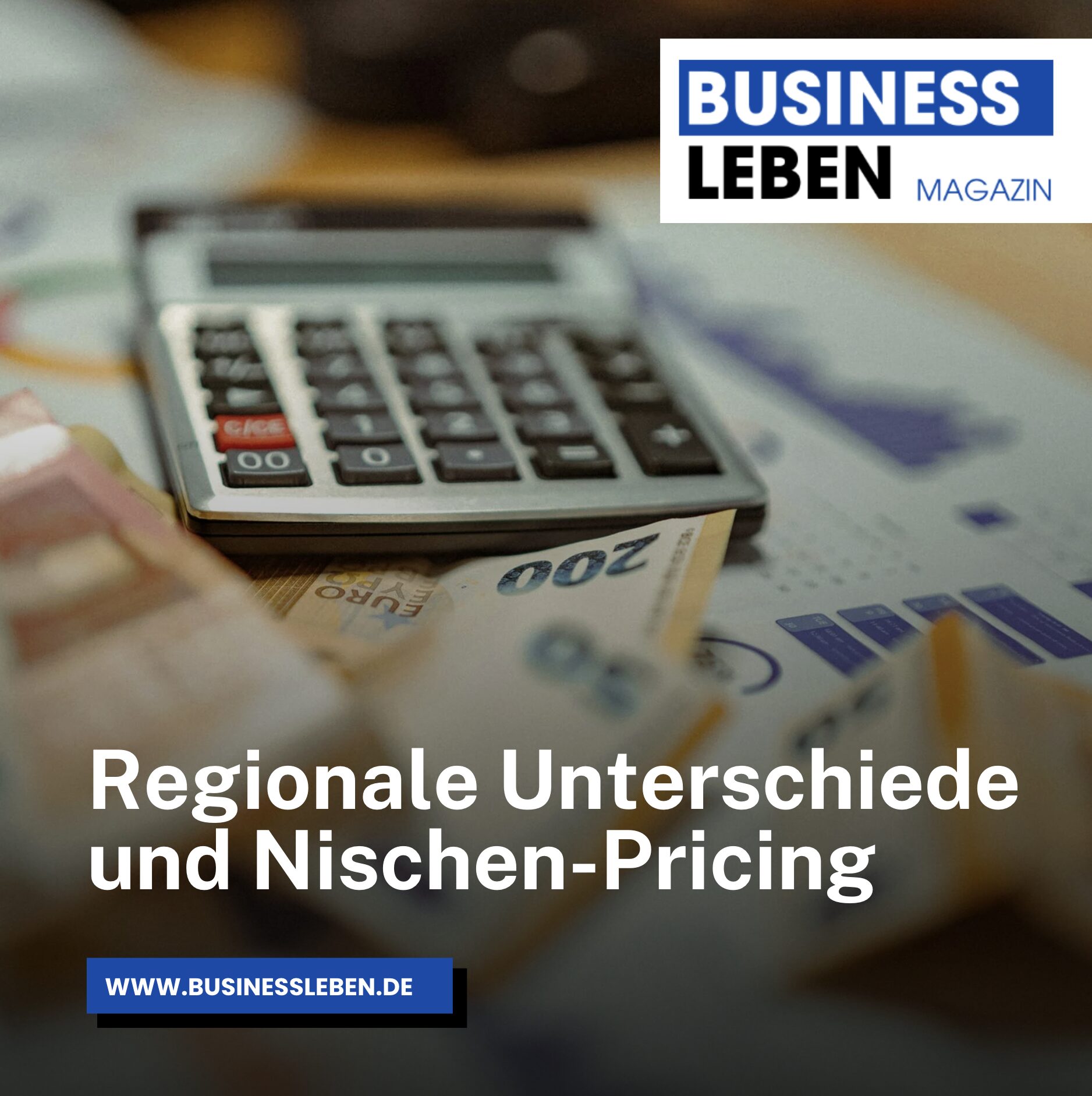 Regionale Unterschiede und Nischen-Pricing Regionale Unterschiede und Nischen-Pricing