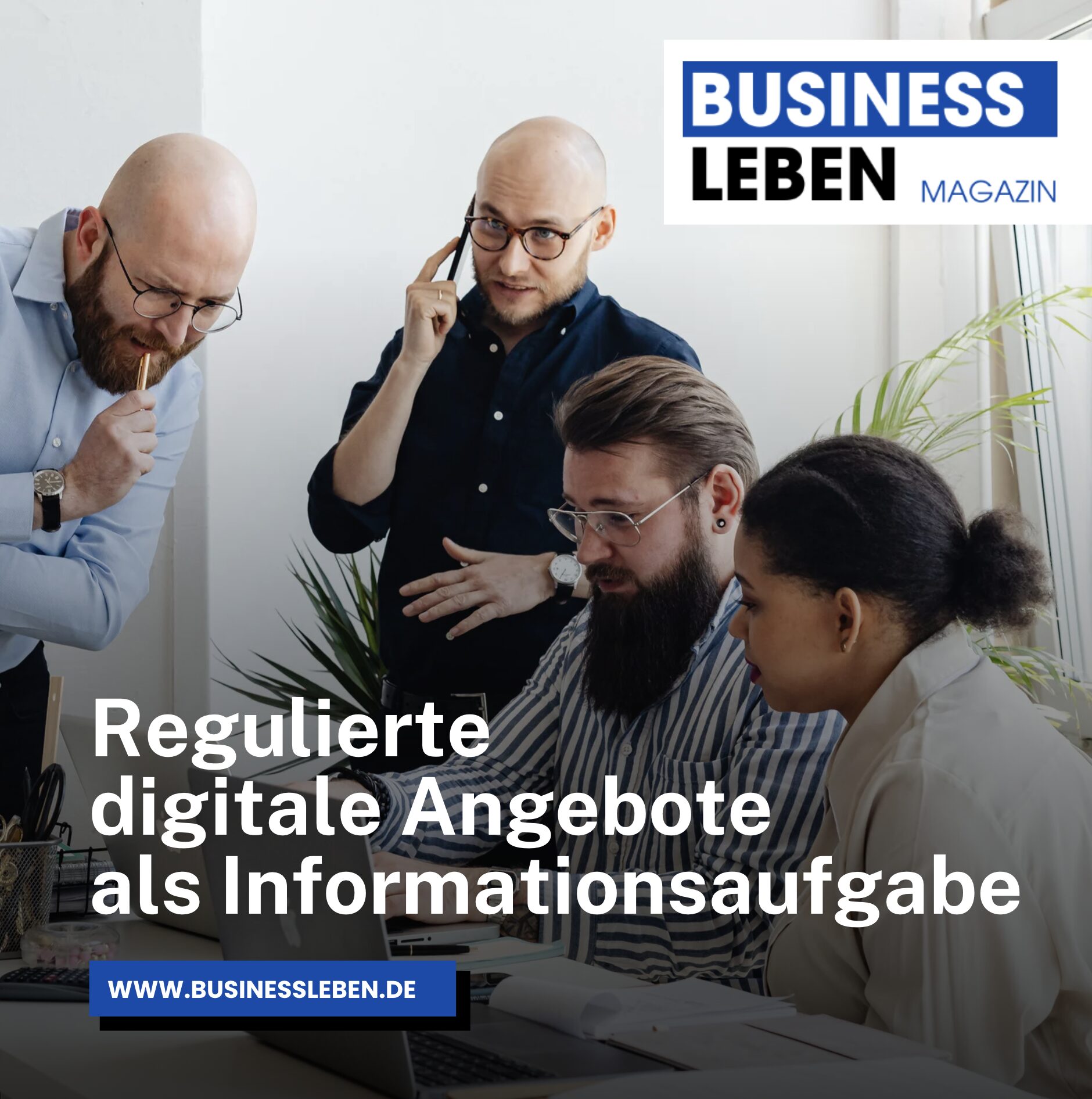 Regulierte digitale Angebote als Informationsaufgabe Regulierte digitale Angebote als Informationsaufgabe