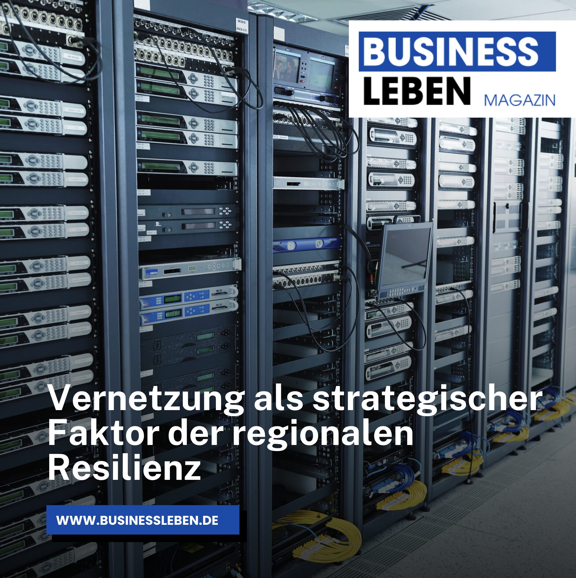 Vernetzung als strategischer Faktor der regionalen Resilienz Vernetzung als strategischer Faktor der regionalen Resilienz