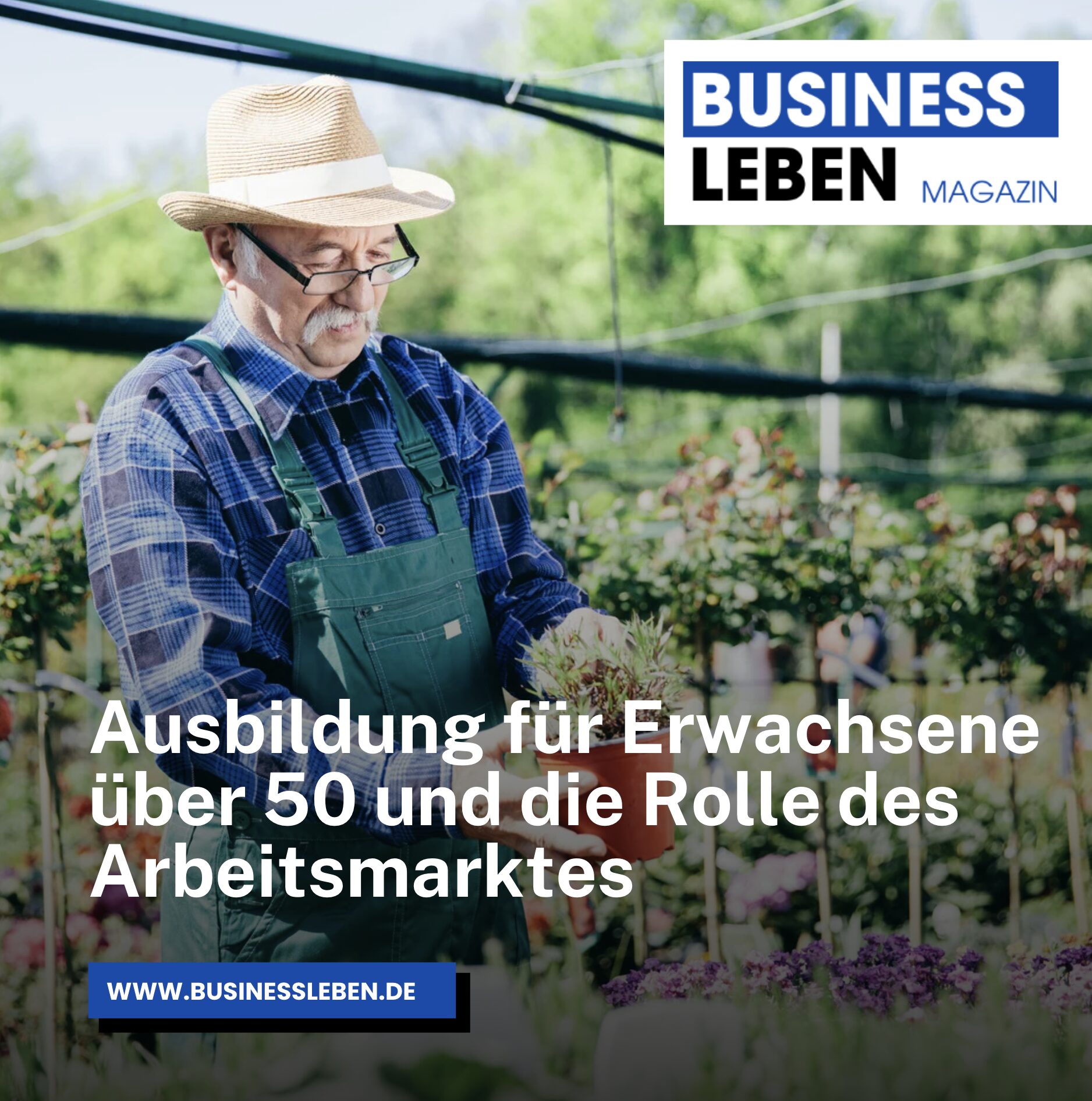 Ausbildung für Erwachsene über 50 und die Rolle des Arbeitsmarktes Ausbildung für Erwachsene über 50 und die Rolle des Arbeitsmarktes