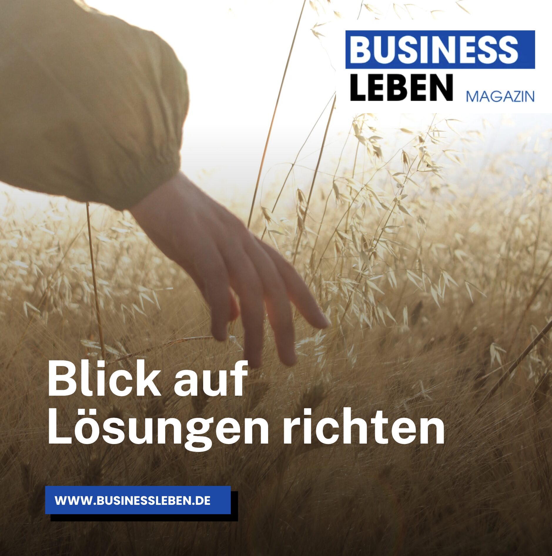 Lebensweisheit und Sprüche zum Probleme lösen: Blick auf Lösungen richten Lebensweisheit und Sprüche zum Probleme lösen: Blick auf Lösungen richten