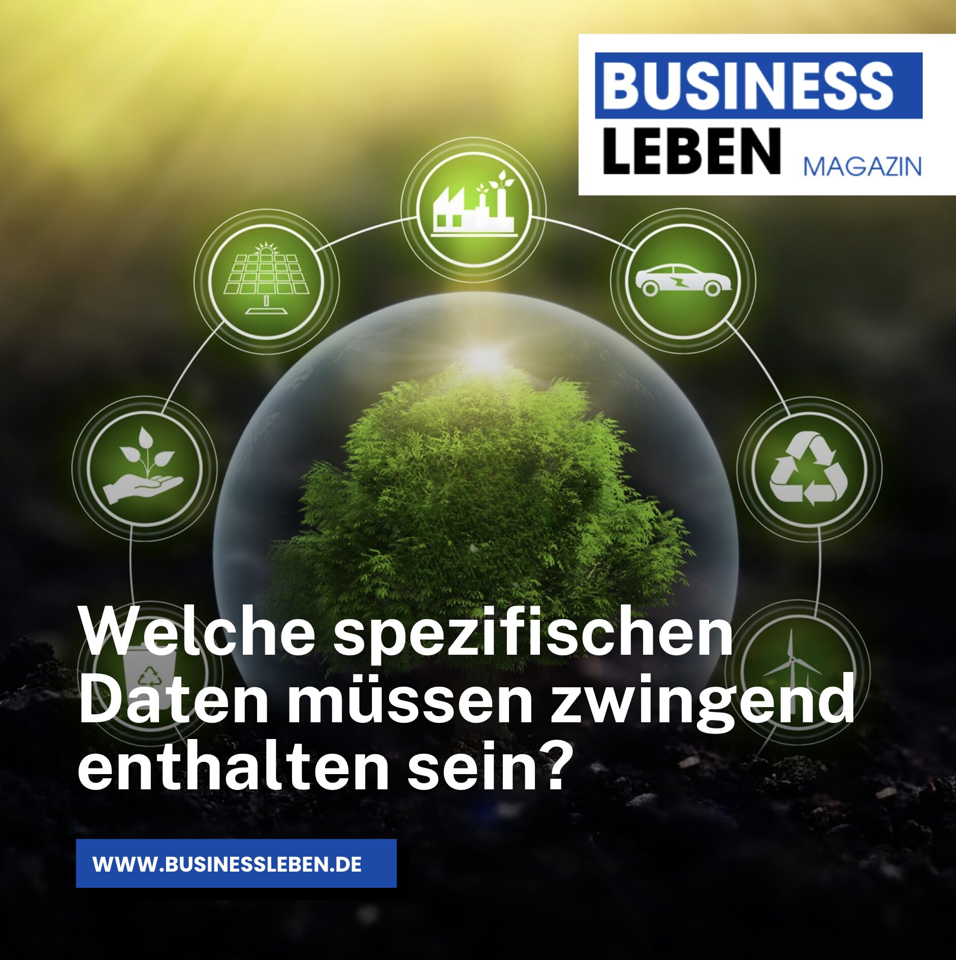 Welche spezifischen Daten müssen zwingend enthalten sein? Welche spezifischen Daten müssen zwingend enthalten sein?